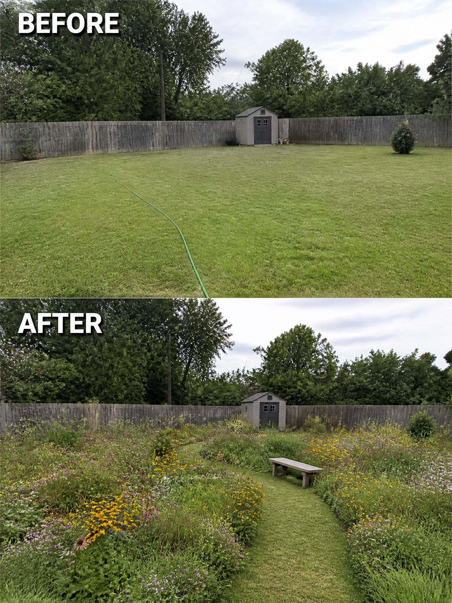 A grassy yard transformed into a vibrant flower garden with a bench and shed.