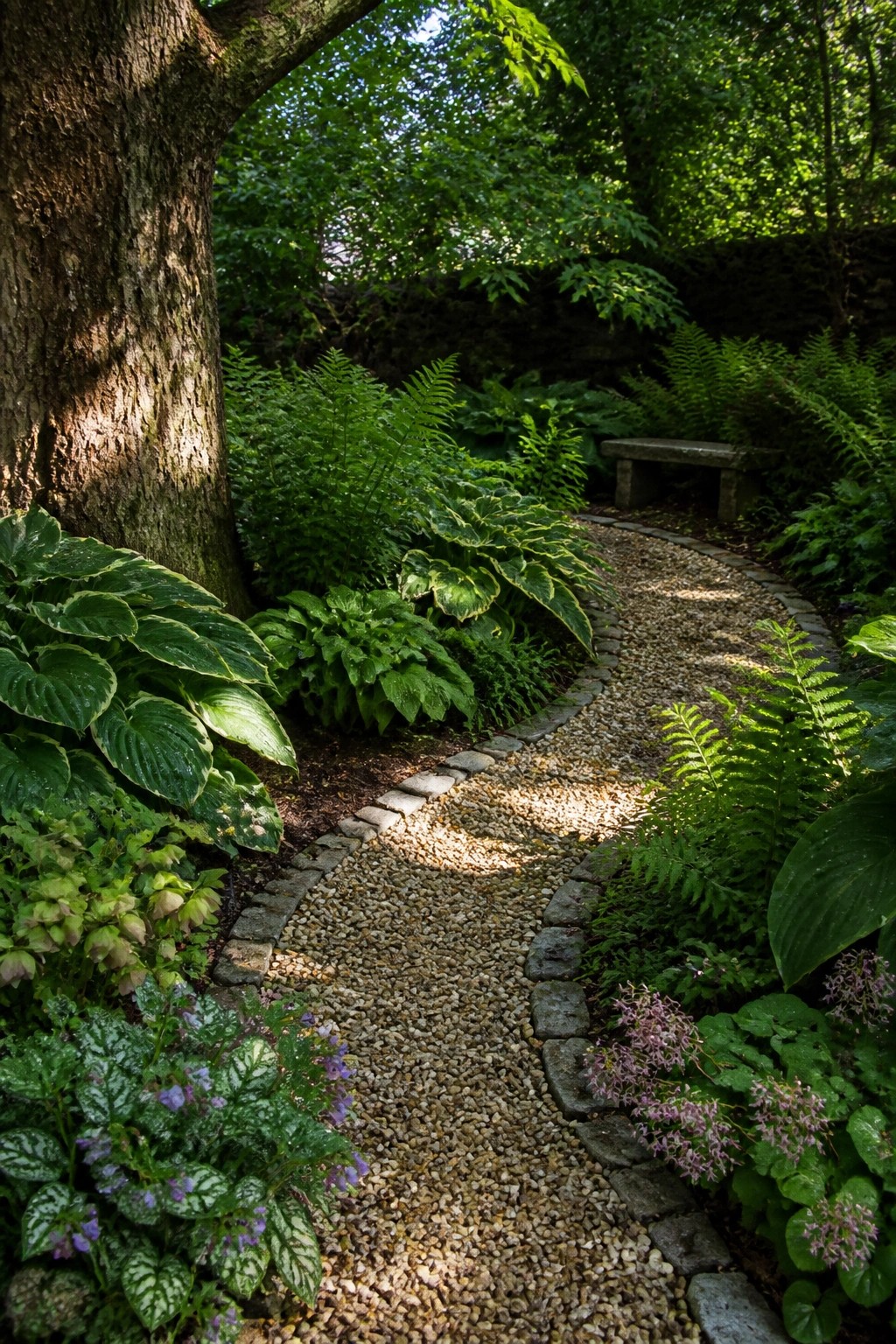 A winding gravel path with stone edging curves through dense green ferns, hostas, and other garden plants, with a wooden bench visible in the background.