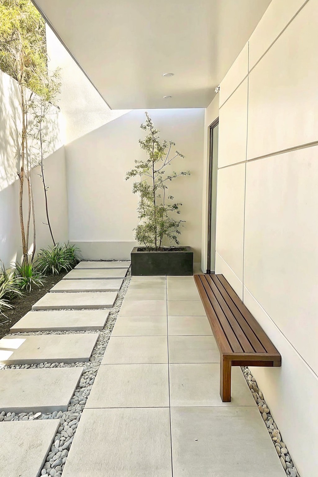 Modern minimalist walkway with wooden bench, concrete tiles, and central tree planter.
