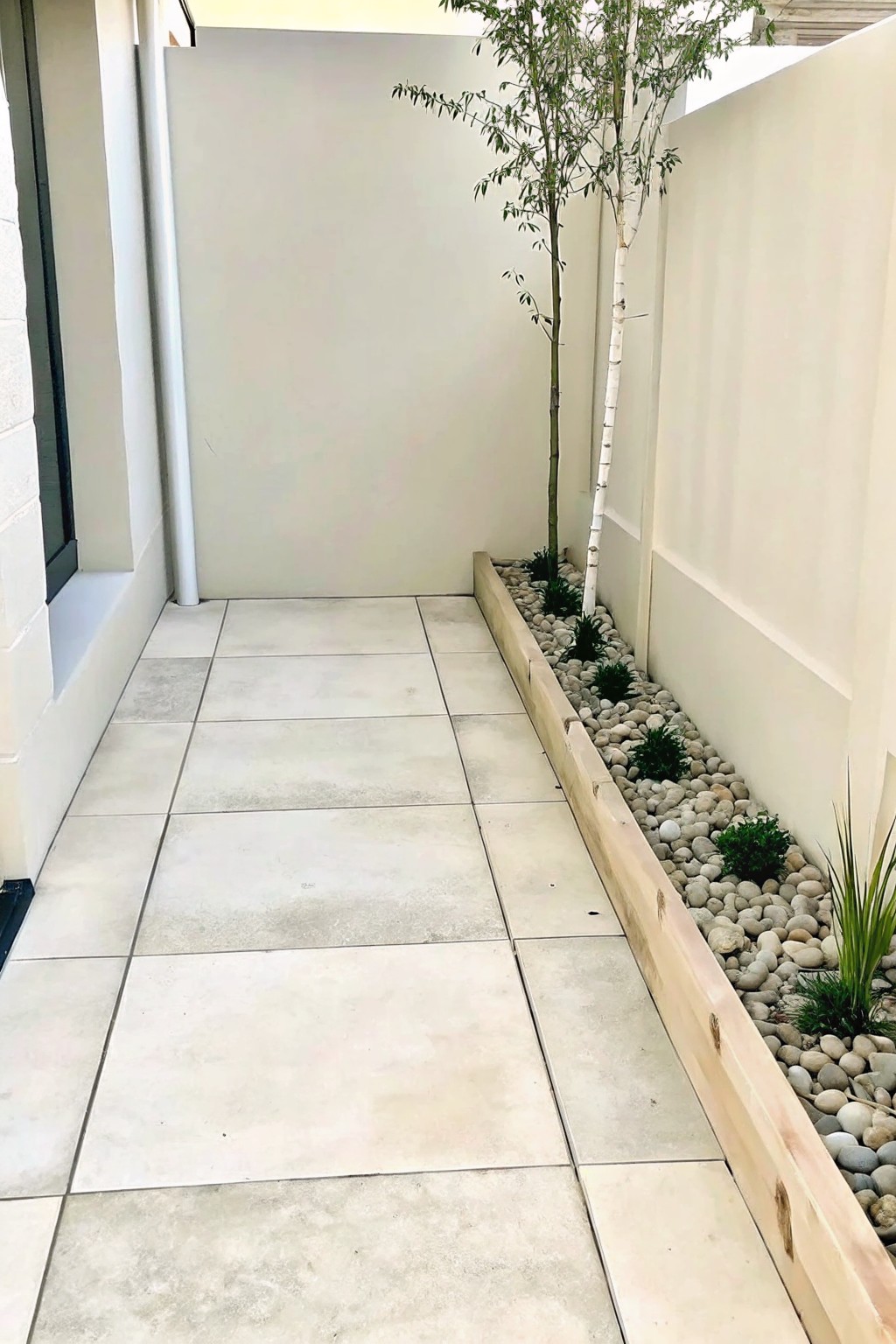 Narrow beige-tiled walkway beside pebble bed with small plants and white-barked tree