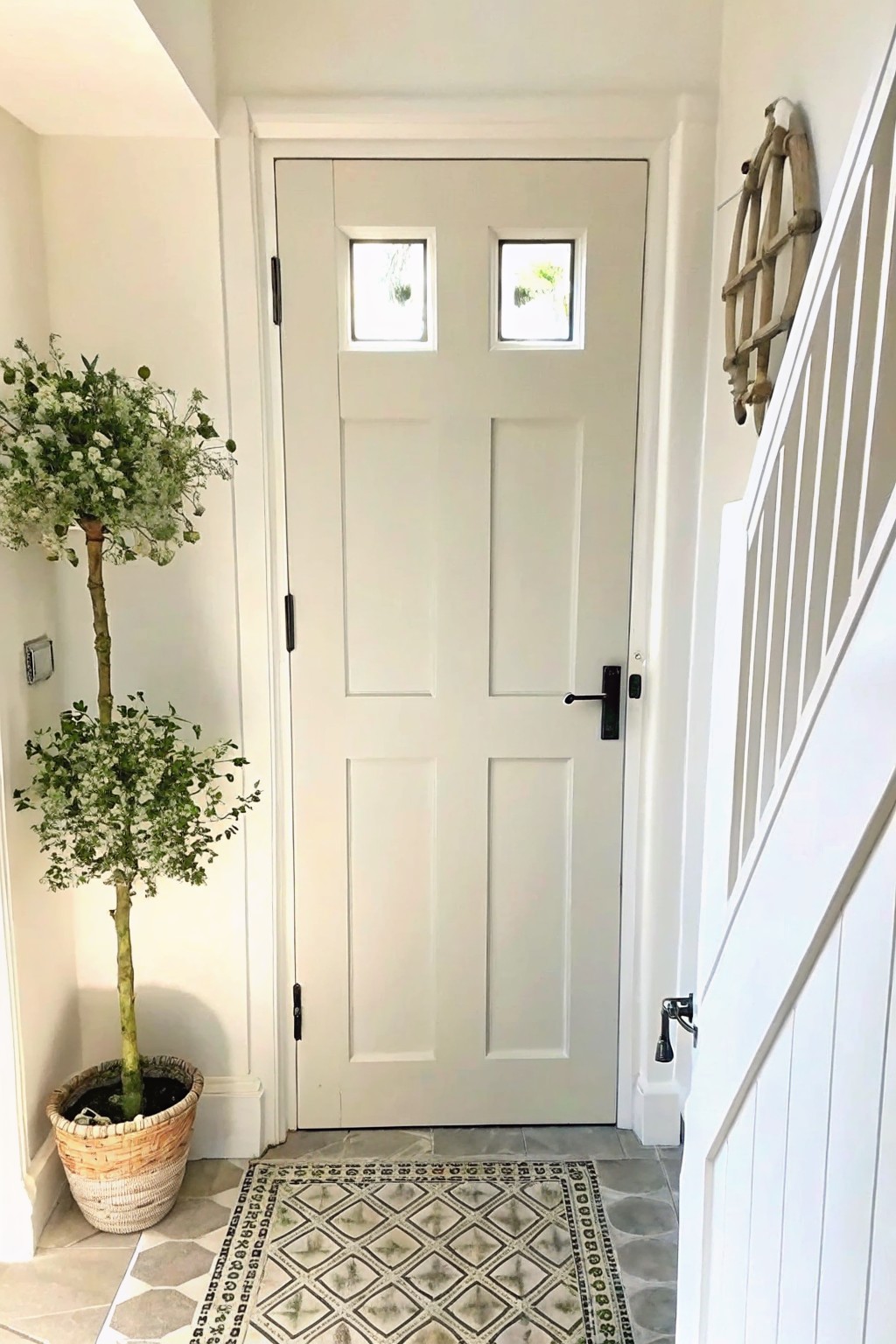 White paneled door with small windows, potted plant, and patterned rug in entryway