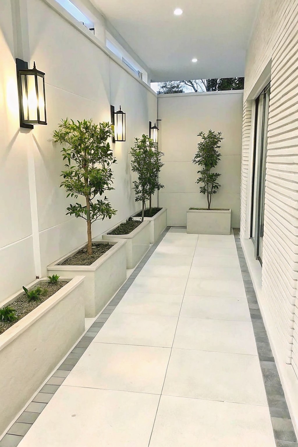 A narrow outdoor walkway with large white rectangular planters containing small trees and shrubs running along white walls.