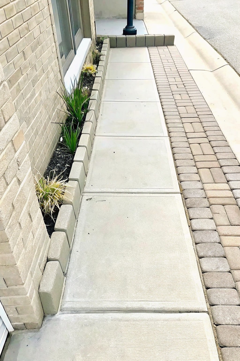 A narrow planting bed with low concrete block edging runs between a concrete sidewalk and a brick building wall.