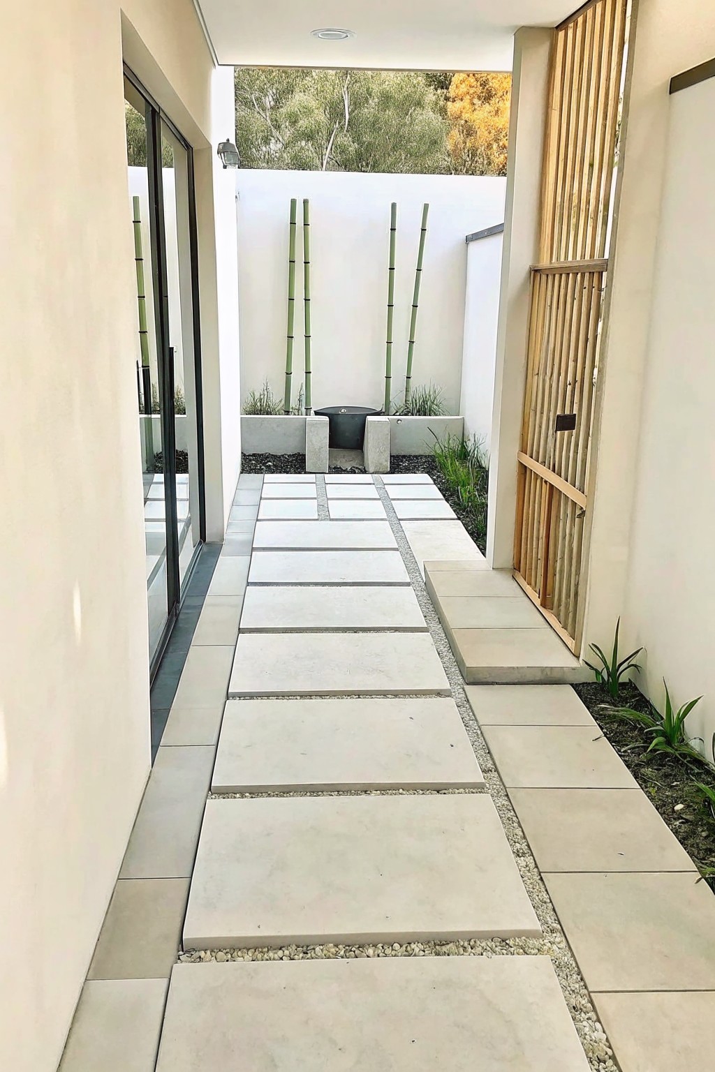 A narrow outdoor garden path made of large light-colored rectangular pavers with gravel borders, flanked by white walls and tall bamboo plants in raised beds.