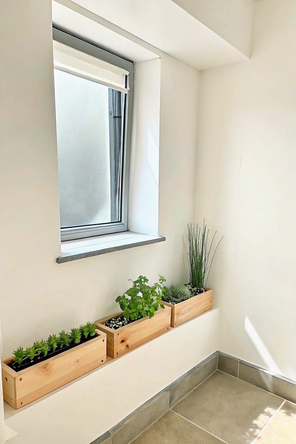 A line of light wooden planter boxes holding green plants sits on a white ledge under a window in a room with tiled flooring.