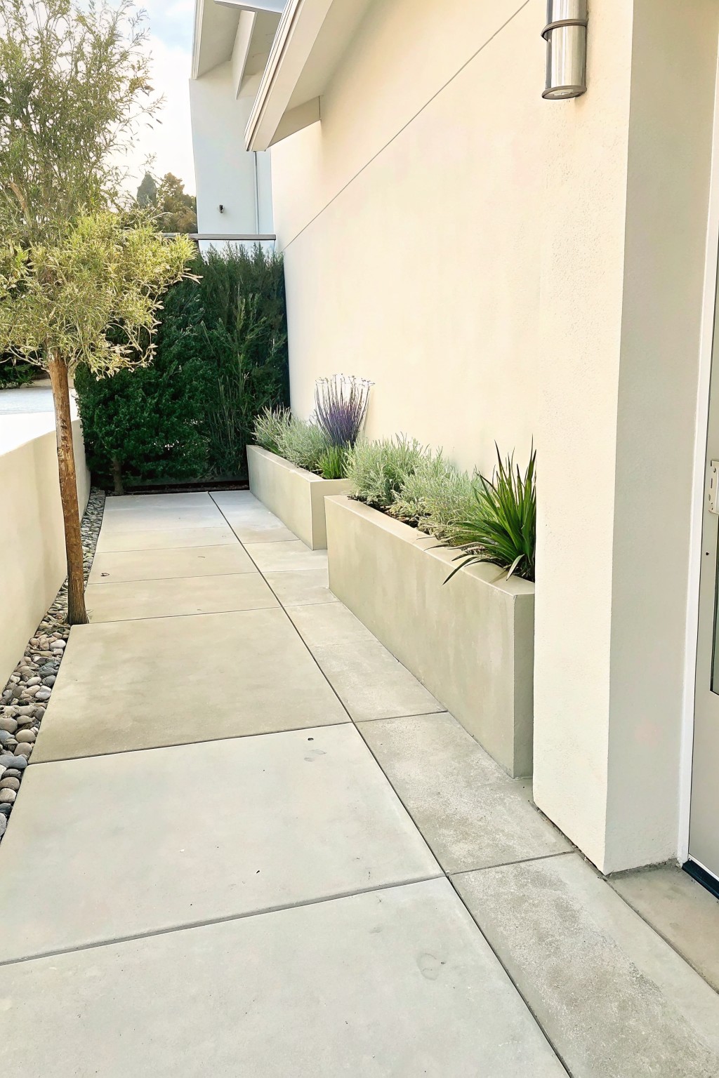 Concrete pathway next to raised rectangular planters filled with layered grasses and plants along a light stucco wall.