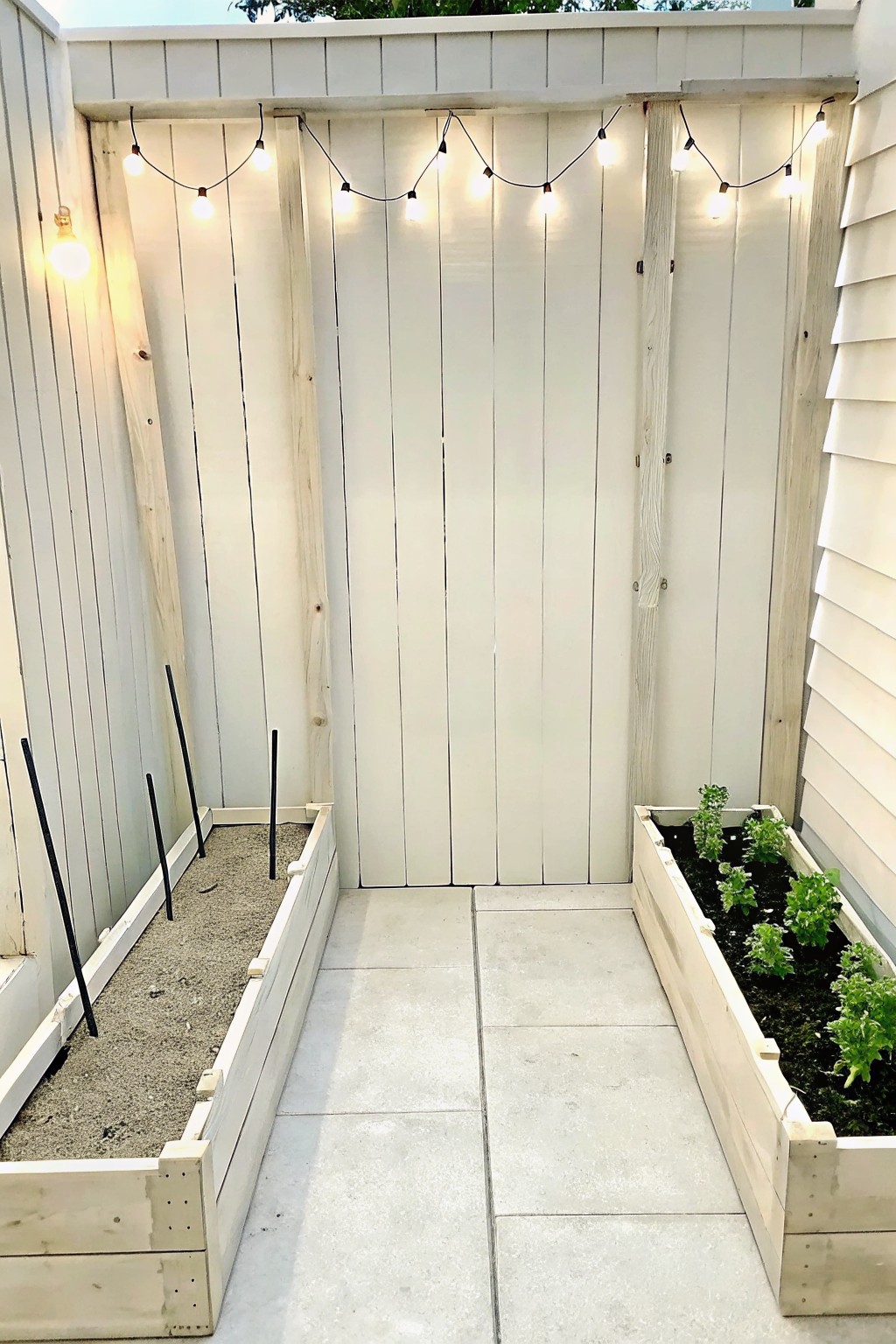 A narrow outdoor garden space with two raised wooden beds separated by a concrete path, one bed filled with gravel and stakes and the other planted with greens, enclosed by a white fence with string lights.
