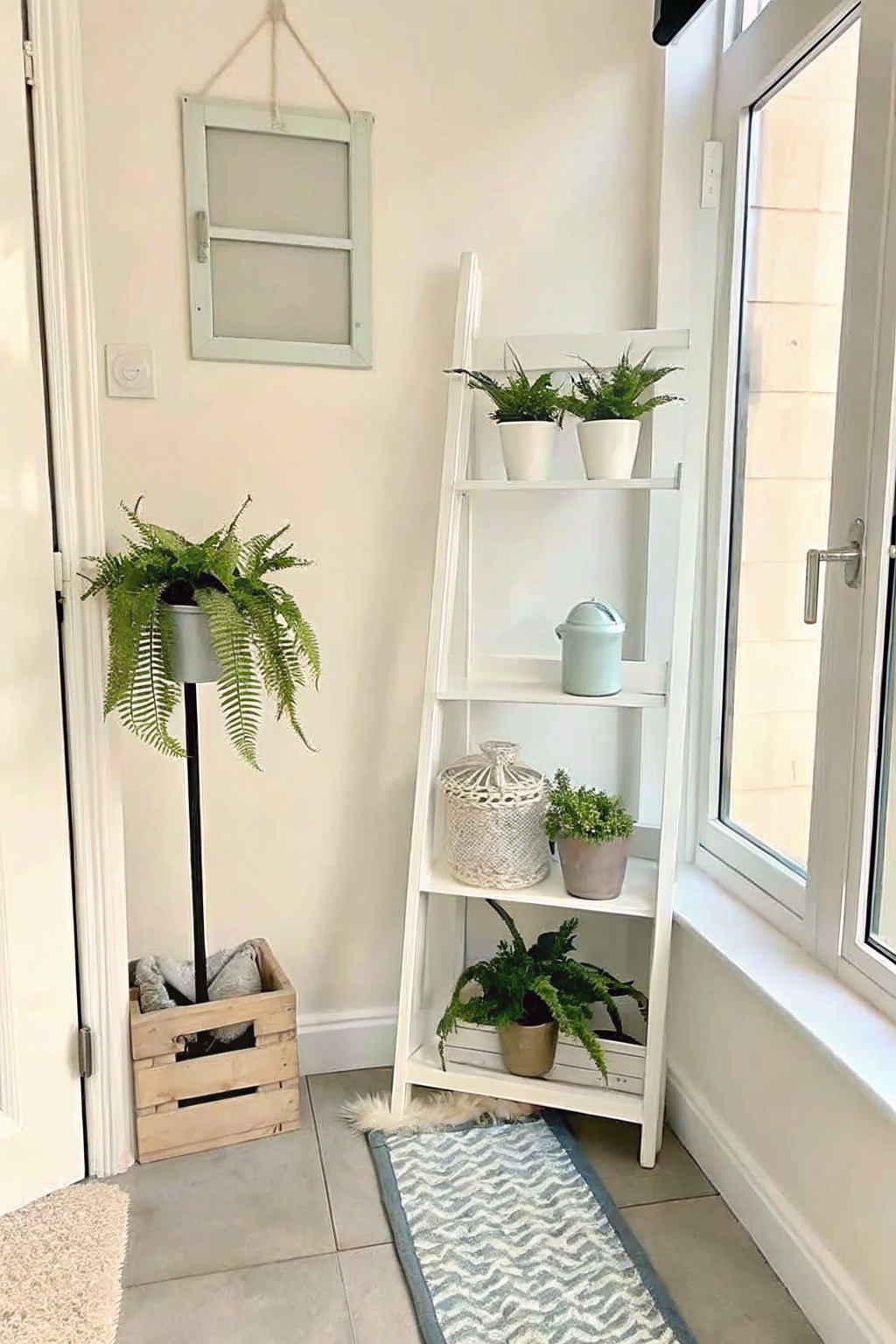 White ladder shelf with potted plants beside hanging fern and wooden crate.