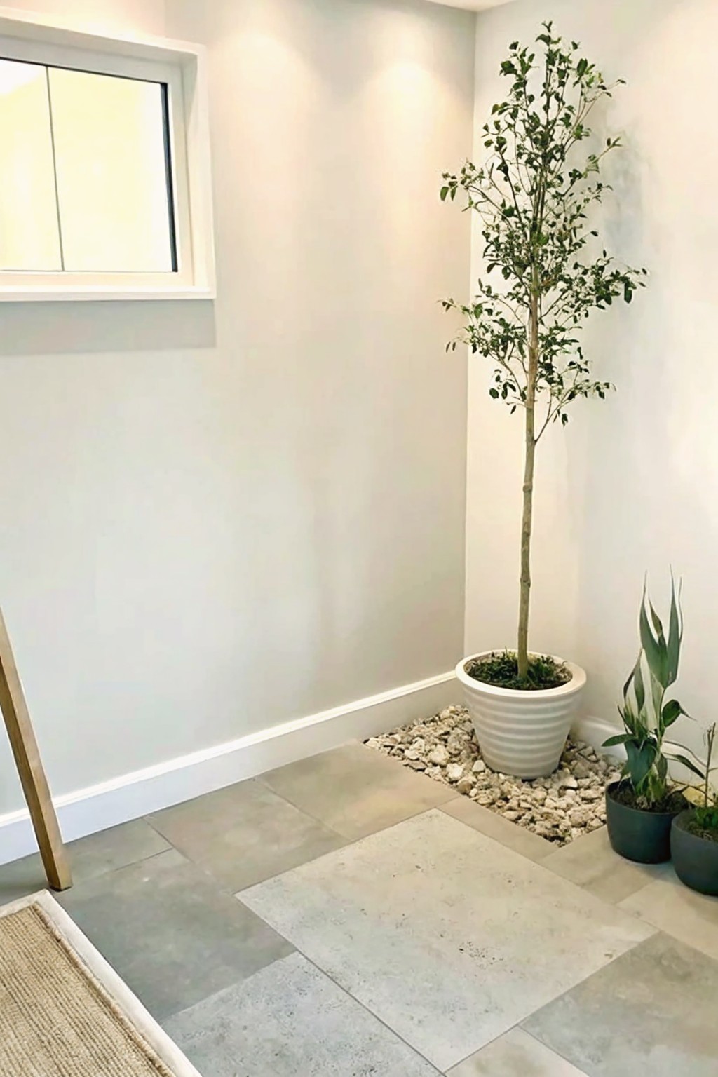 Modern room corner with tall potted tree on pebbles, smaller plants, gray tiles, and window