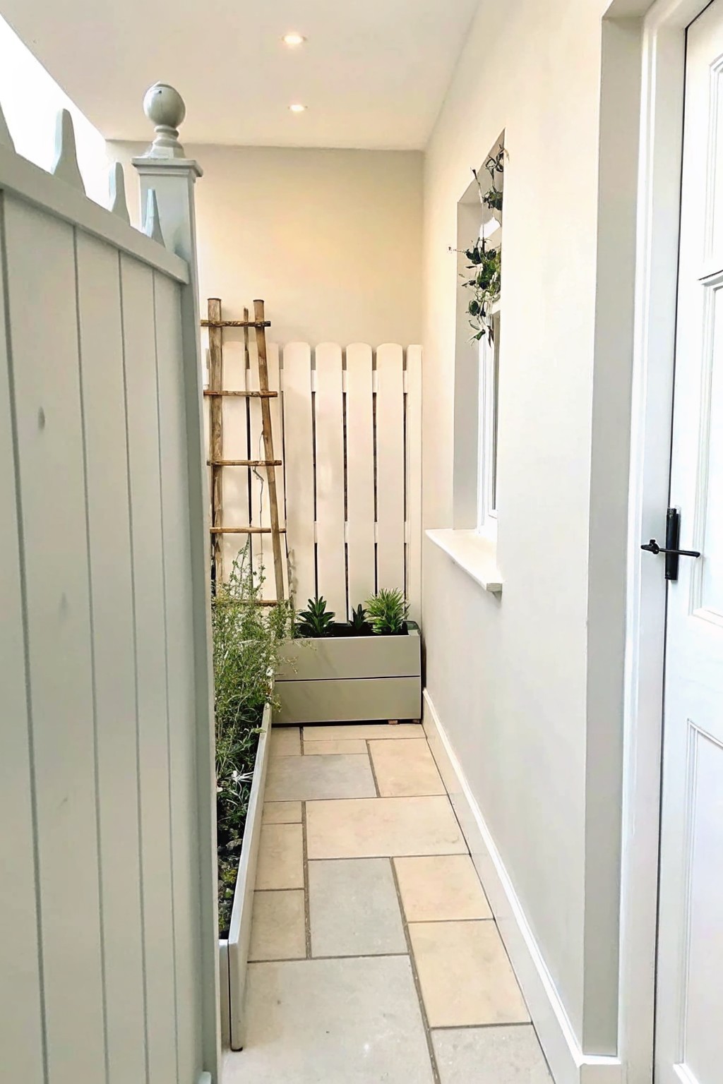 A narrow paved garden path runs beside a long raised planter filled with green plants, set against a white vertical fence with a wooden ladder leaning nearby.