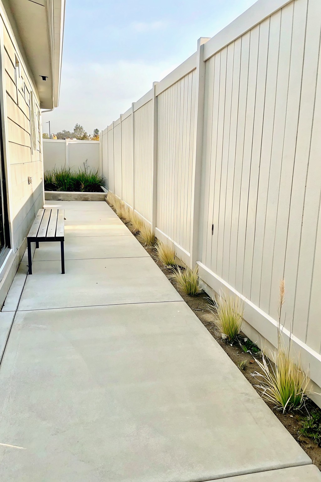 A long concrete walkway runs between a house wall on the left and a tall white fence on the right, with clumps of tall ornamental grasses planted along the base of the fence.