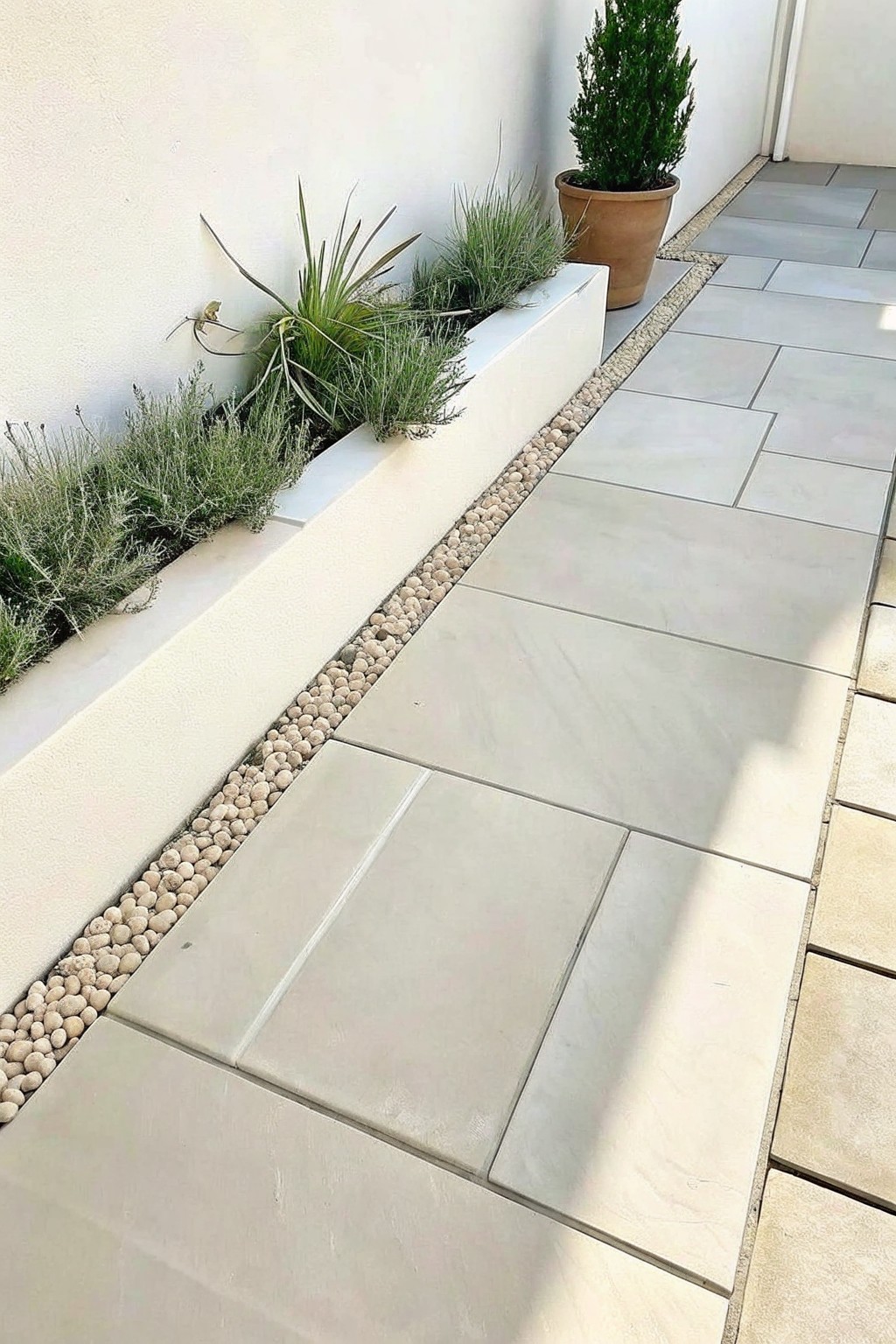 A light-colored paved walkway next to a long white raised planter filled with ornamental grasses and bordered by a strip of small pebbles.