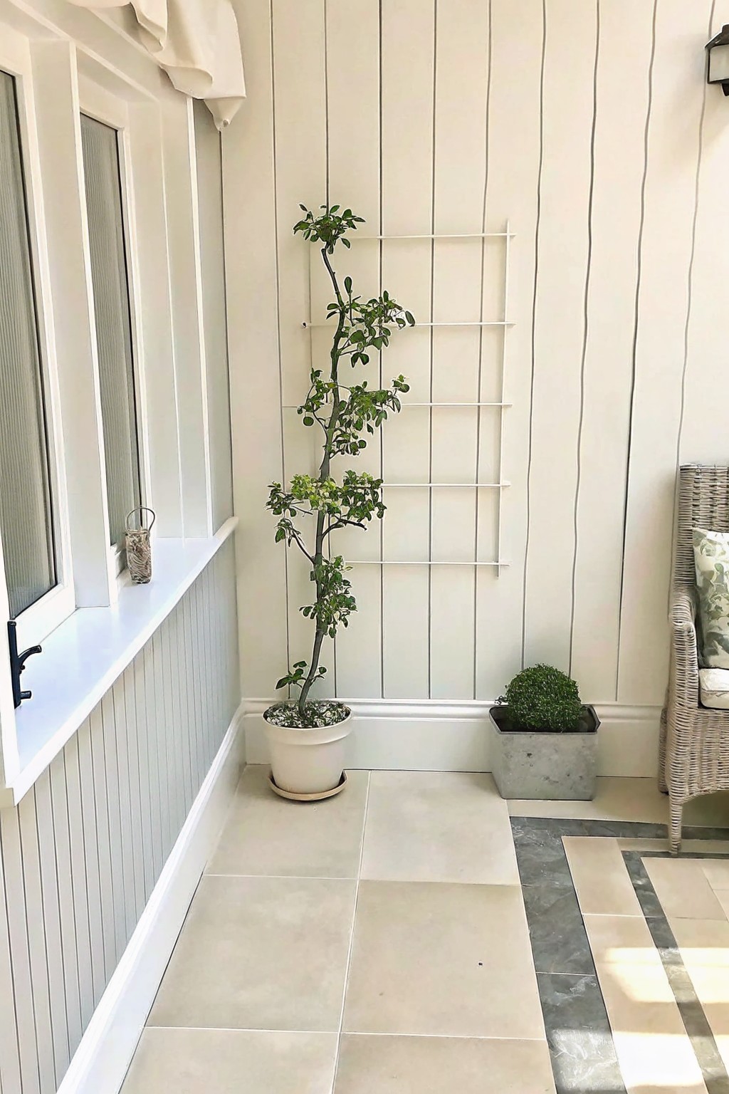 A tall plant trained on a white wall-mounted trellis beside a small shrub in a gray pot on a light-tiled porch.