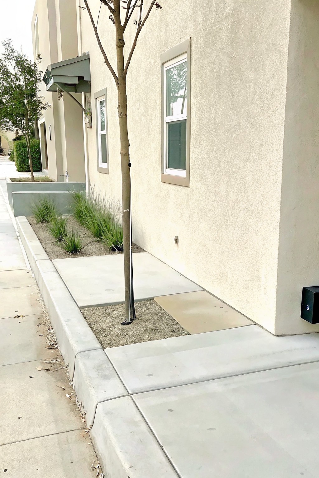 A concrete curb borders a narrow planting bed filled with gravel and ornamental grasses beside a house walkway.