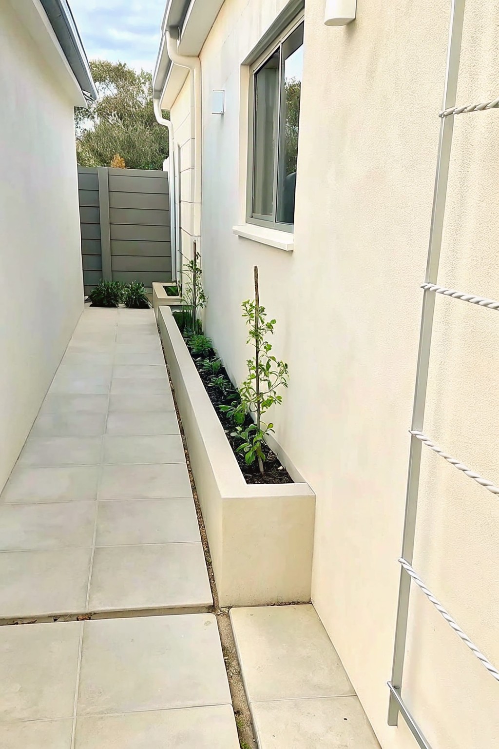 Narrow tiled walkway beside long concrete planter with young plants and tree.
