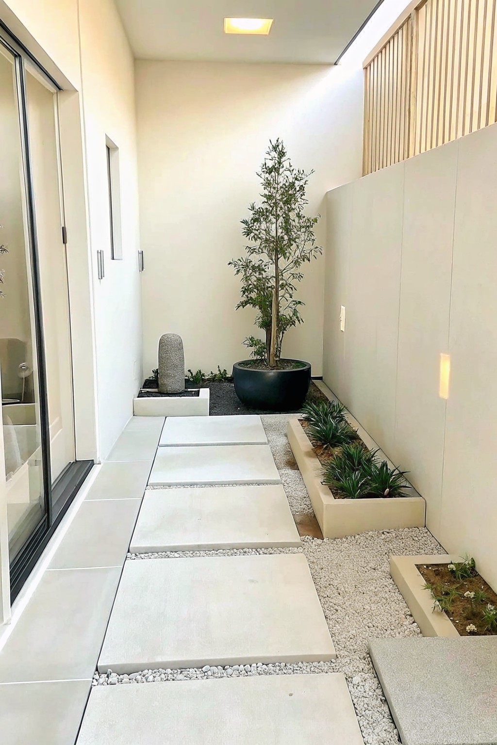 Narrow modern walkway with large concrete stepping stones set in gravel, a tall tree in a black round pot, and low planting beds along the walls.