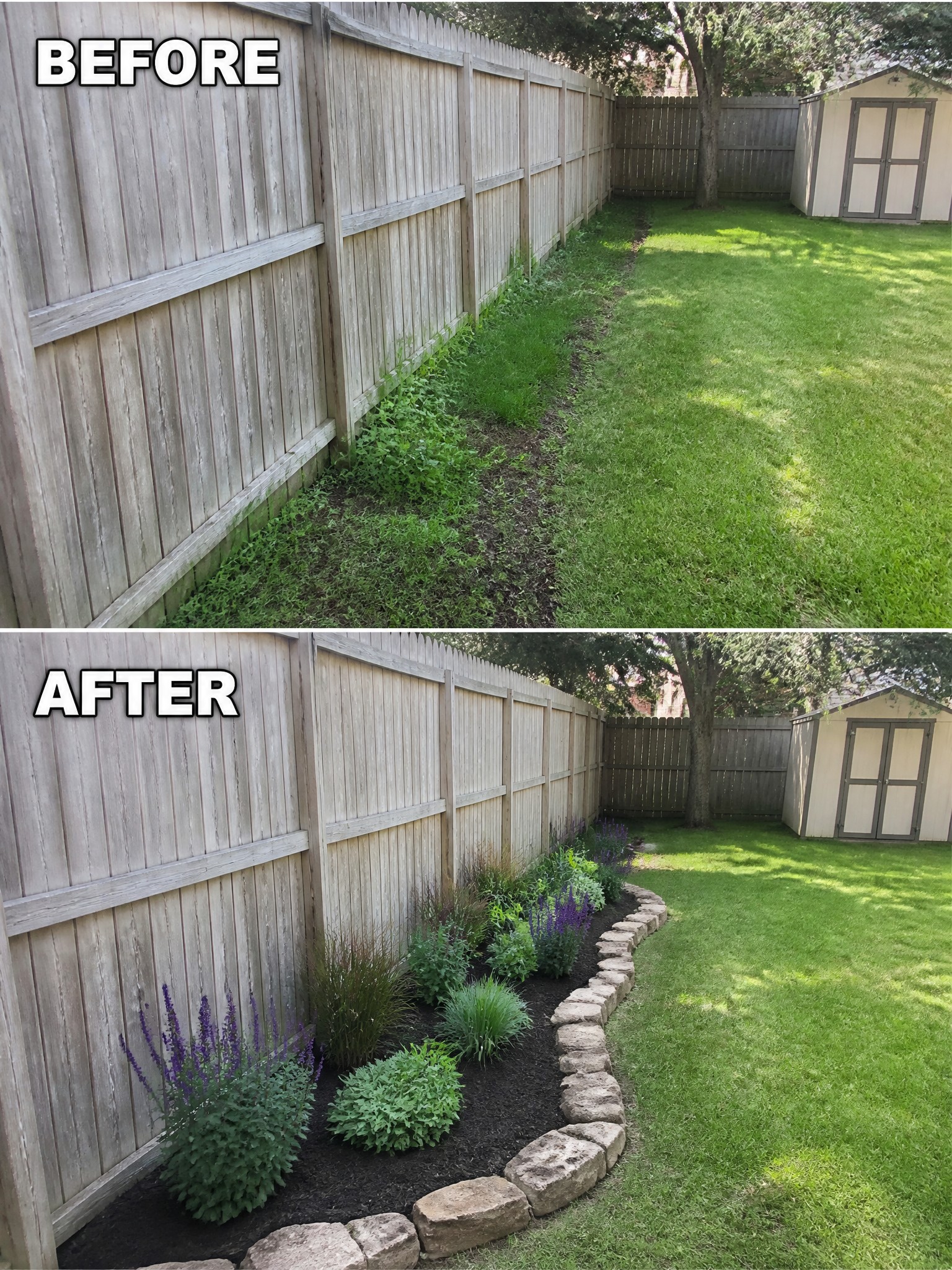 Before and after of fence with overgrown weeds transformed into landscaped garden bed.