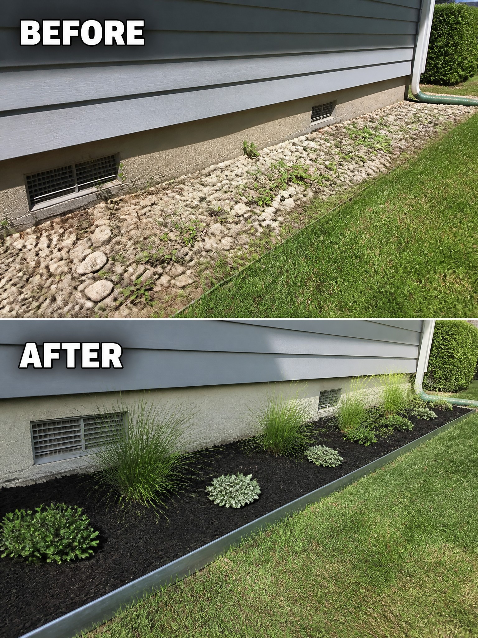 Before weedy gravel bed and after mulched garden with grasses along house foundation