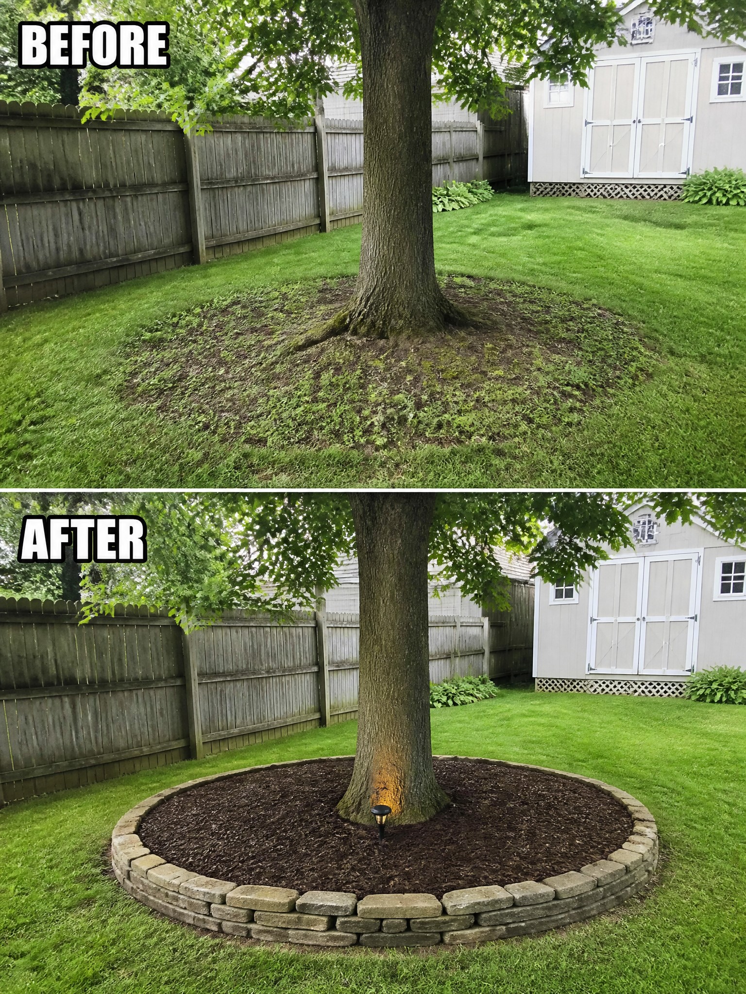 Before-and-after tree base: bare weedy grass transformed into mulched stone-bordered circle