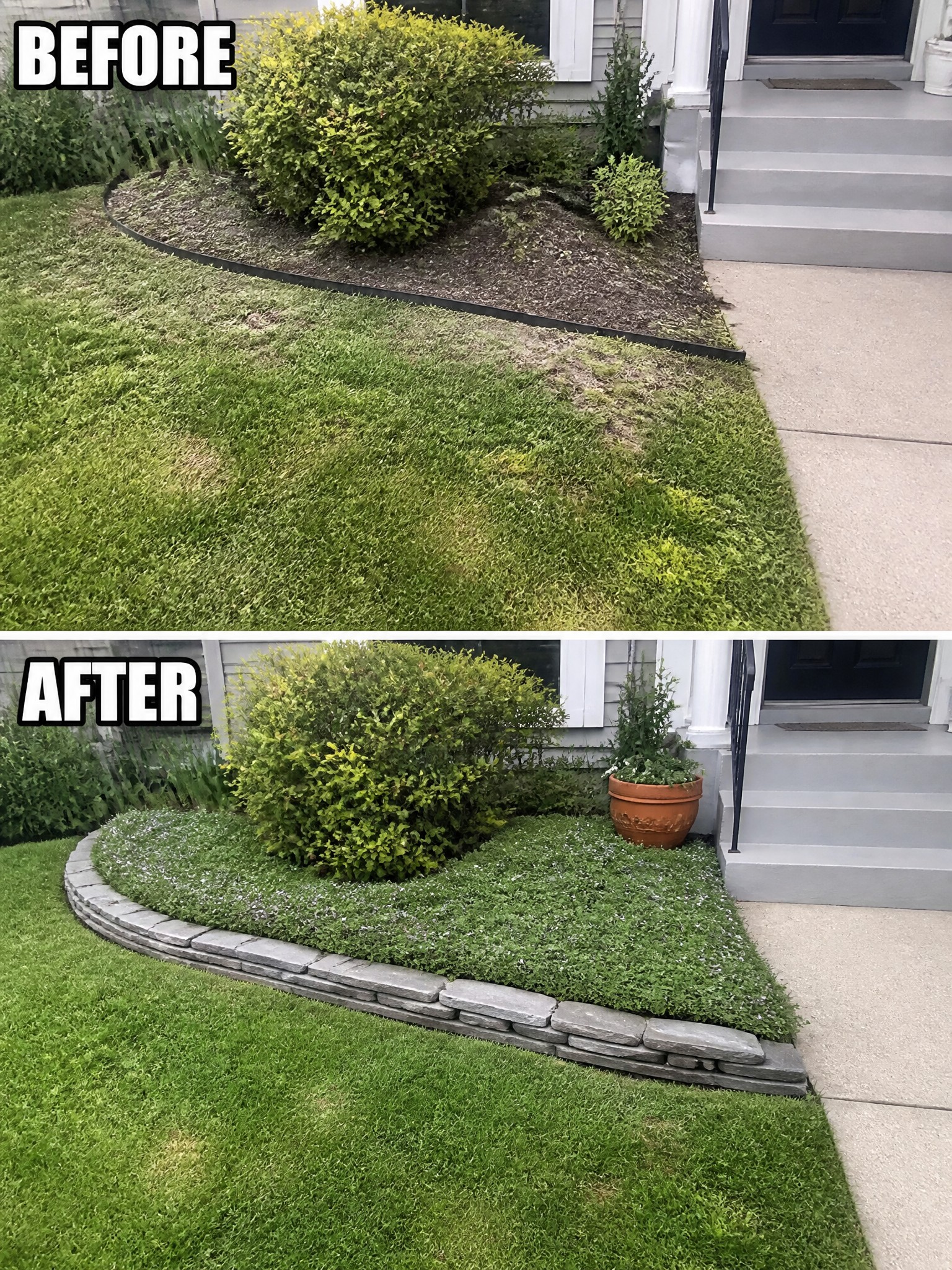 Before and after of front yard with new stone border and flowering ground cover plants.
