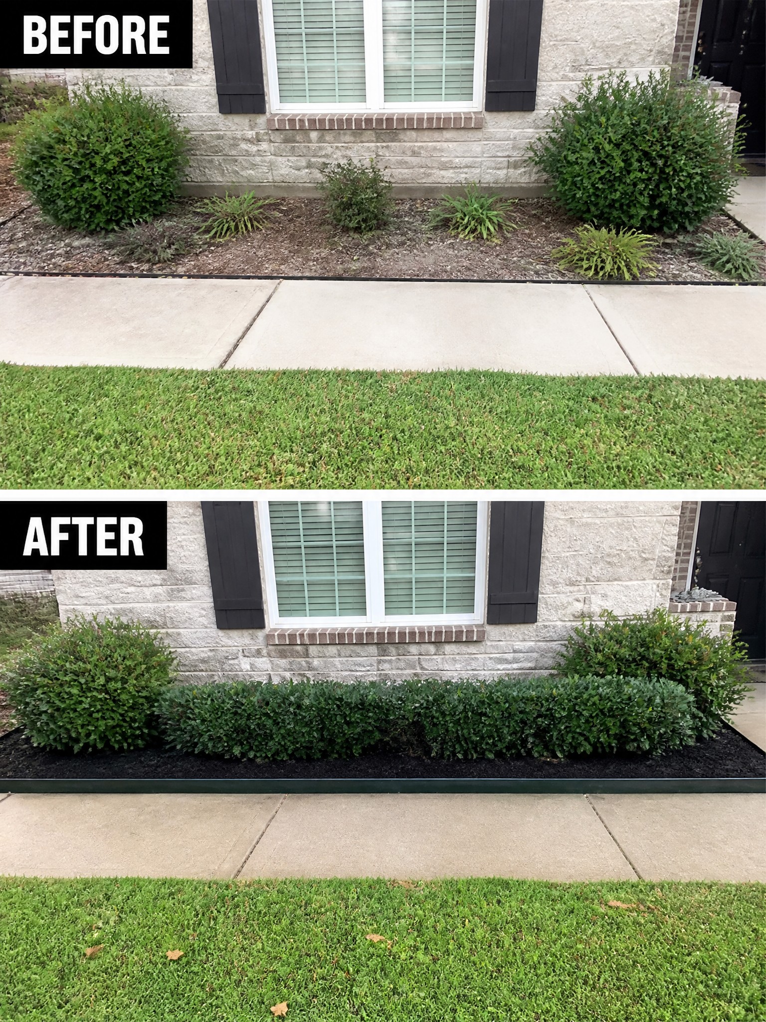 Before and after of house front with new hedge row and black mulch bed