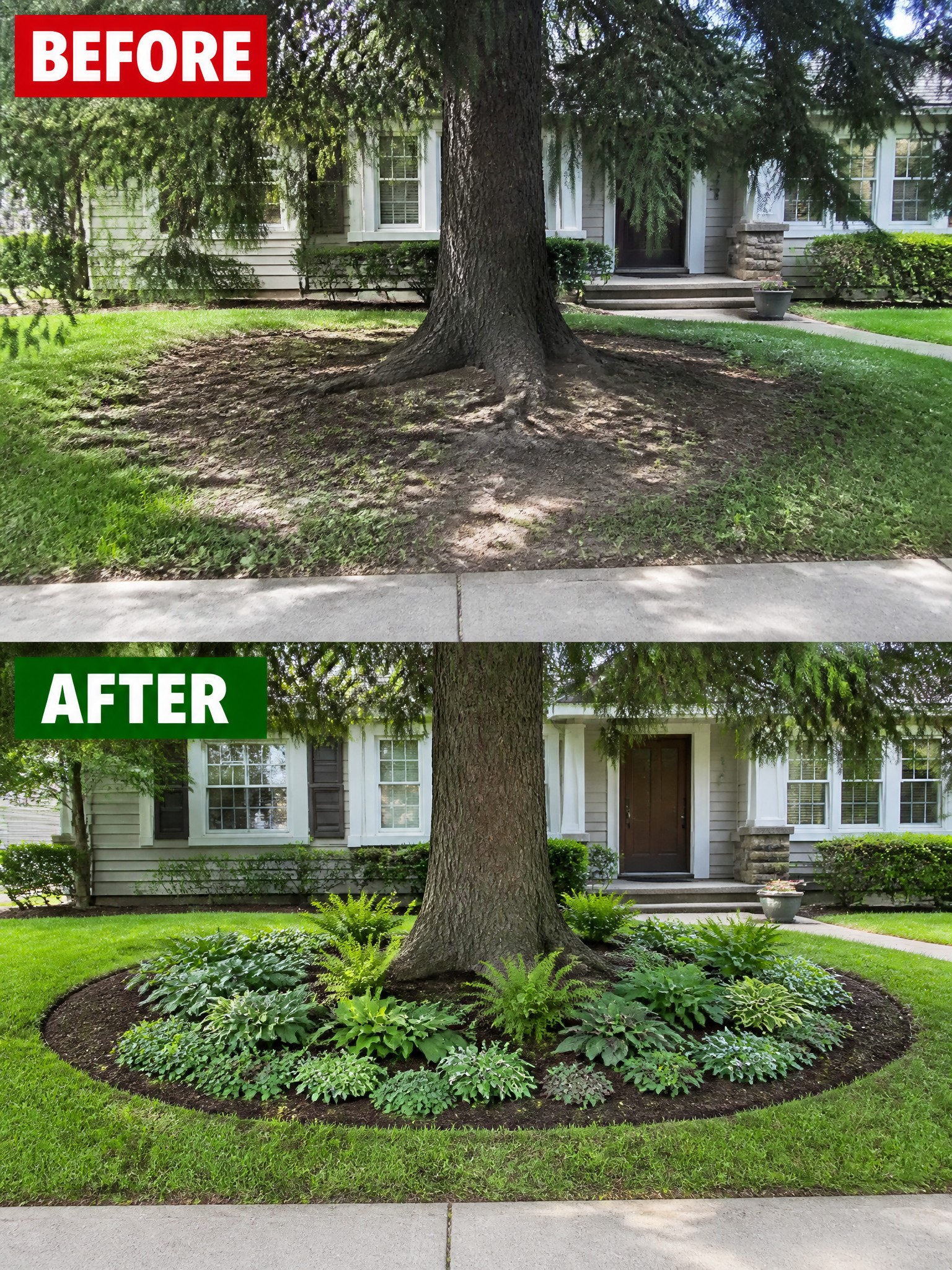Before and after of bare lawn transformed into mulched garden bed around tree.