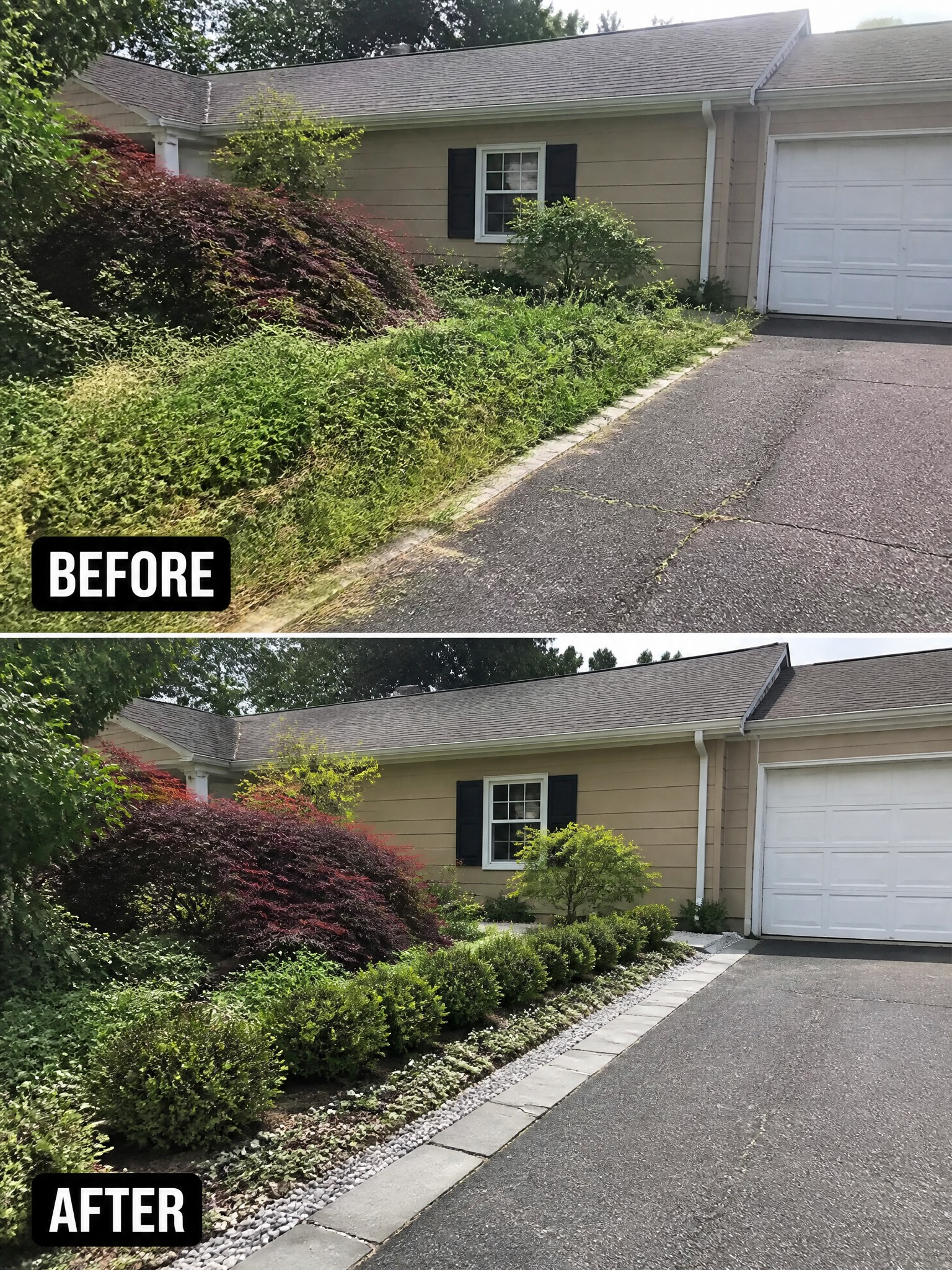 Before-and-after image of an overgrown front yard strip next to a driveway changed into neat garden beds with shrubs, groundcover, and gravel edging.