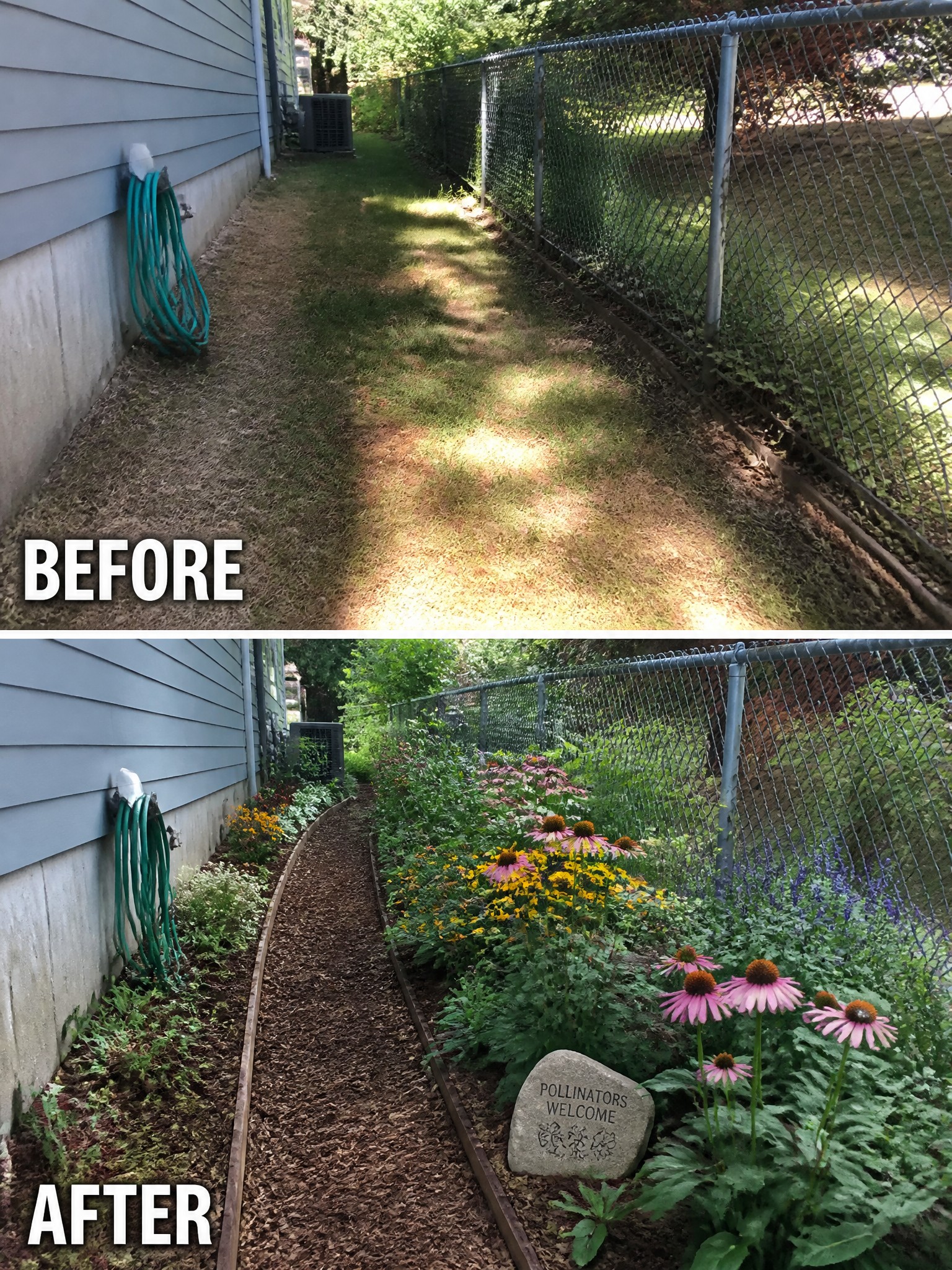 Before and after of grassy path transformed into mulched flower garden with rock sign.