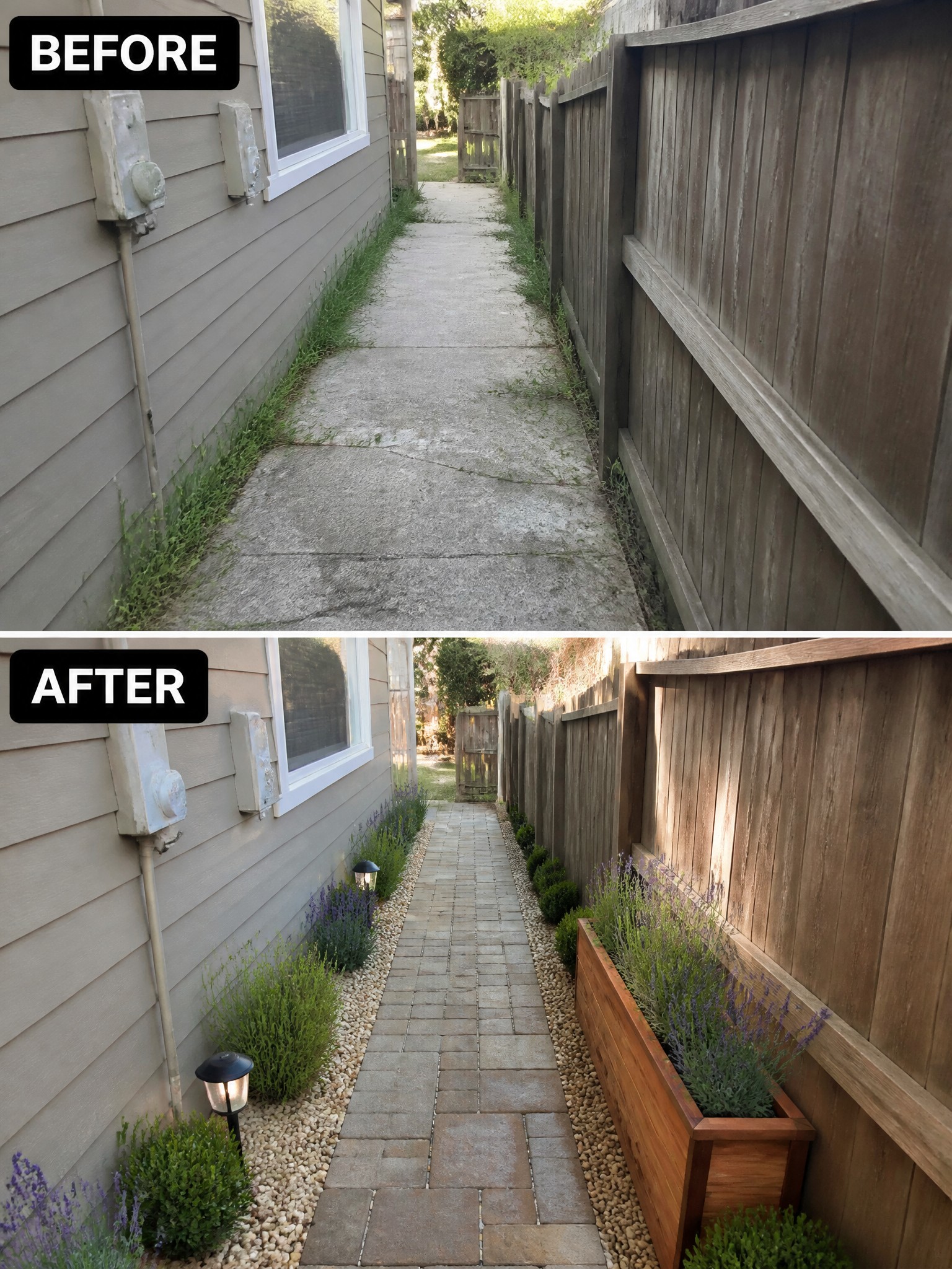 Before-and-after image of a narrow side yard concrete path with overgrown grass edges changed into clean gravel borders planted with lavender and shrubs plus a wooden planter box along the fence.