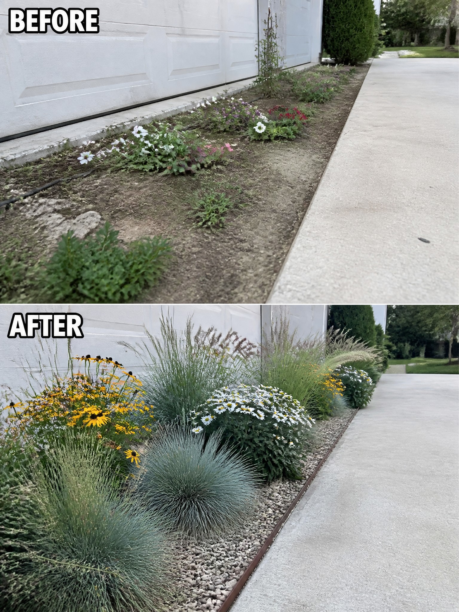 Before and after of sparse garden bed transformed into colorful flower and grass landscaping.
