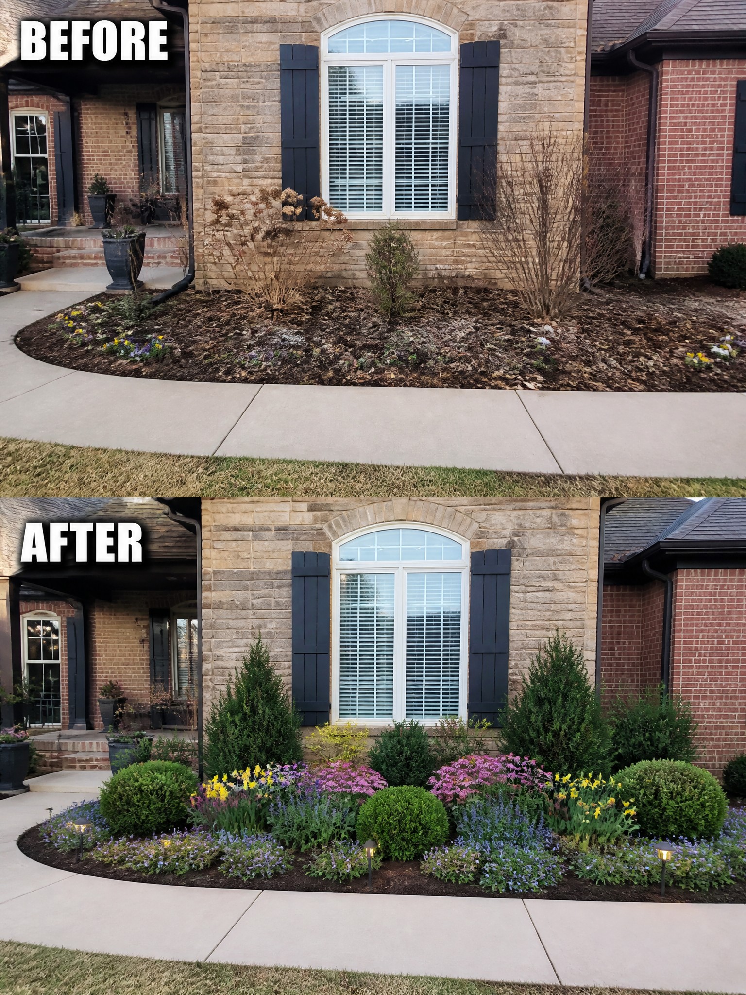 Before-and-after image of a house front flower bed transformed from sparse and weedy to a full layered planting with shrubs, flowers, and lights.