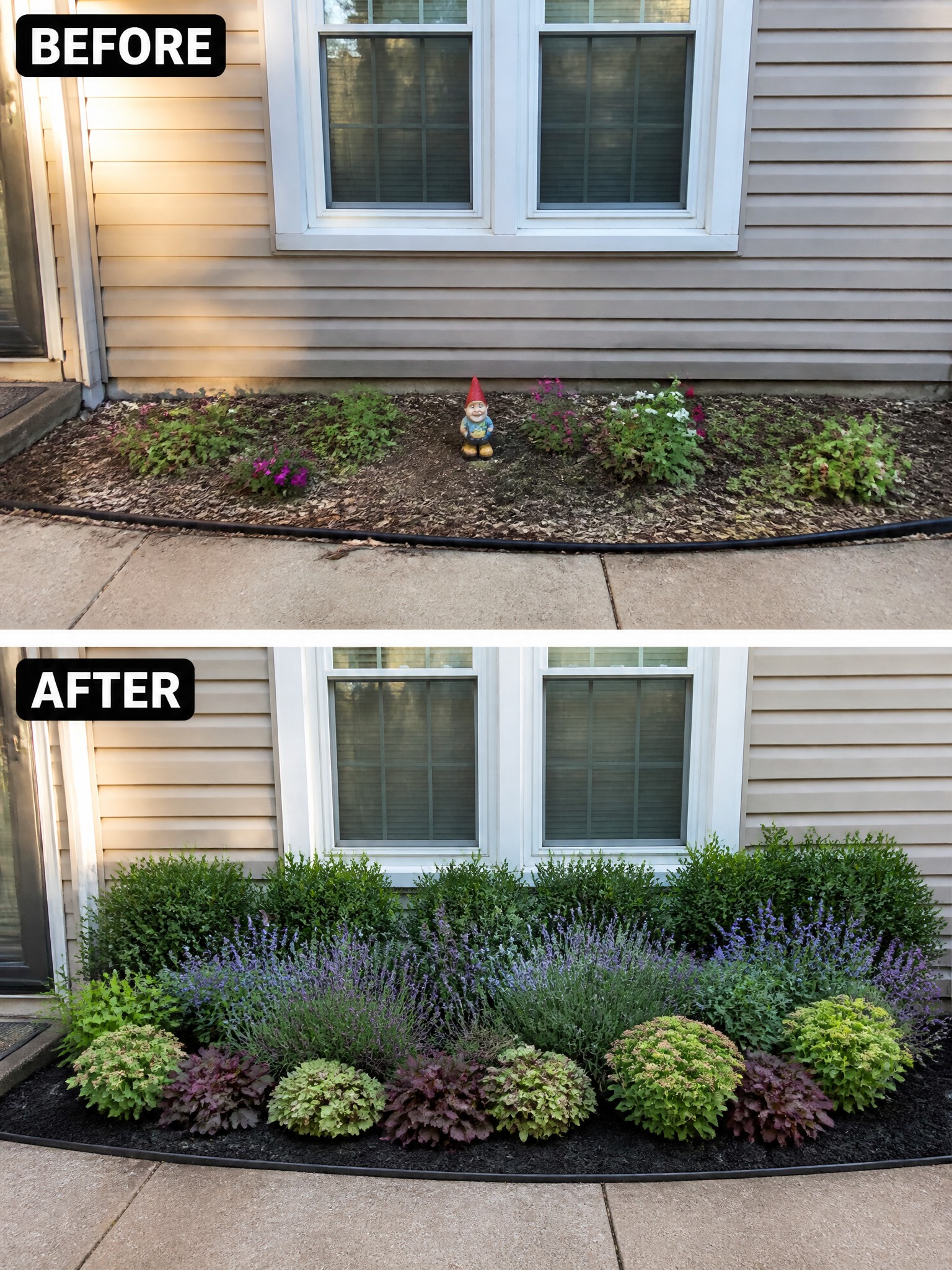 Before and after of a garden bed under window, sparse then lush with shrubs and flowers