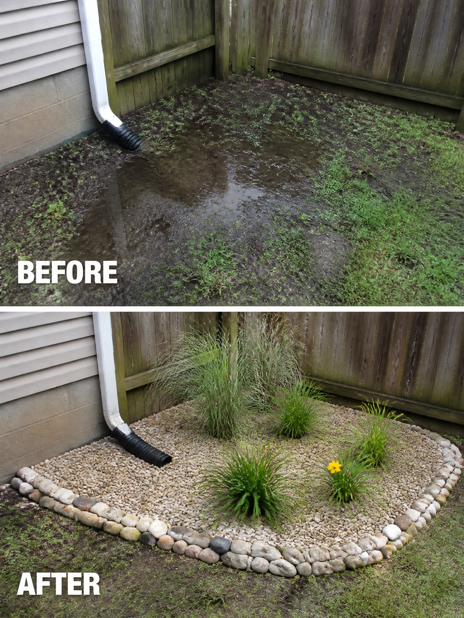 Before muddy yard and after landscaped gravel garden with plants around downspout.