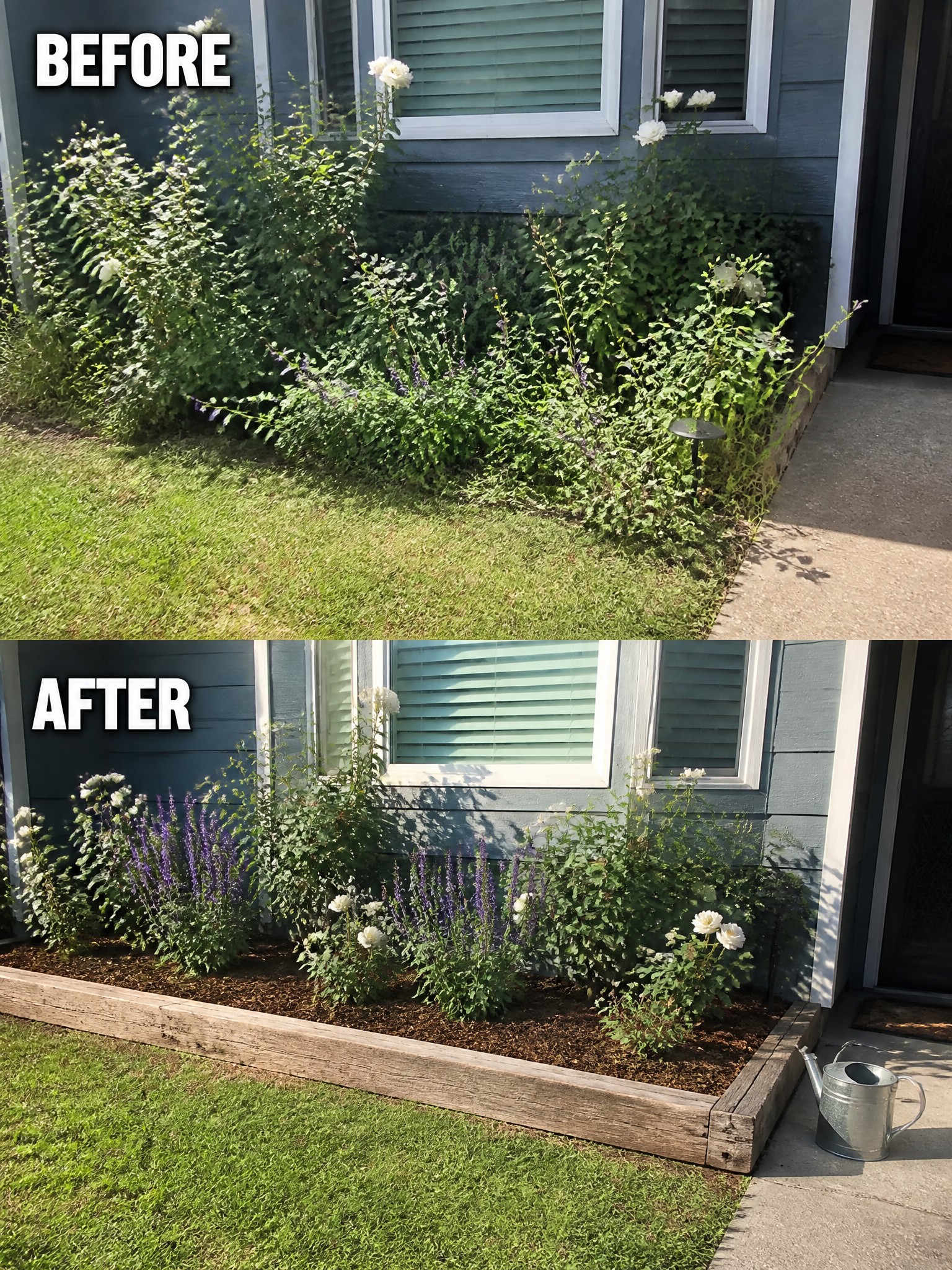Before-and-after image of an overgrown flower bed along a house foundation changed into a neatly edged bed with mulch and organized plants.