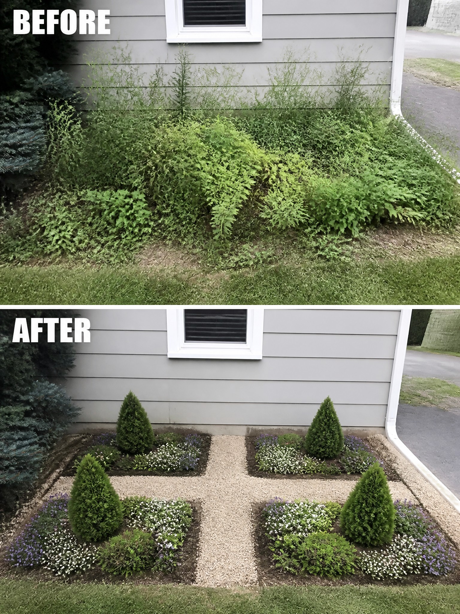 Before and after view of overgrown weeds transformed into neat evergreen shrubs and flower beds