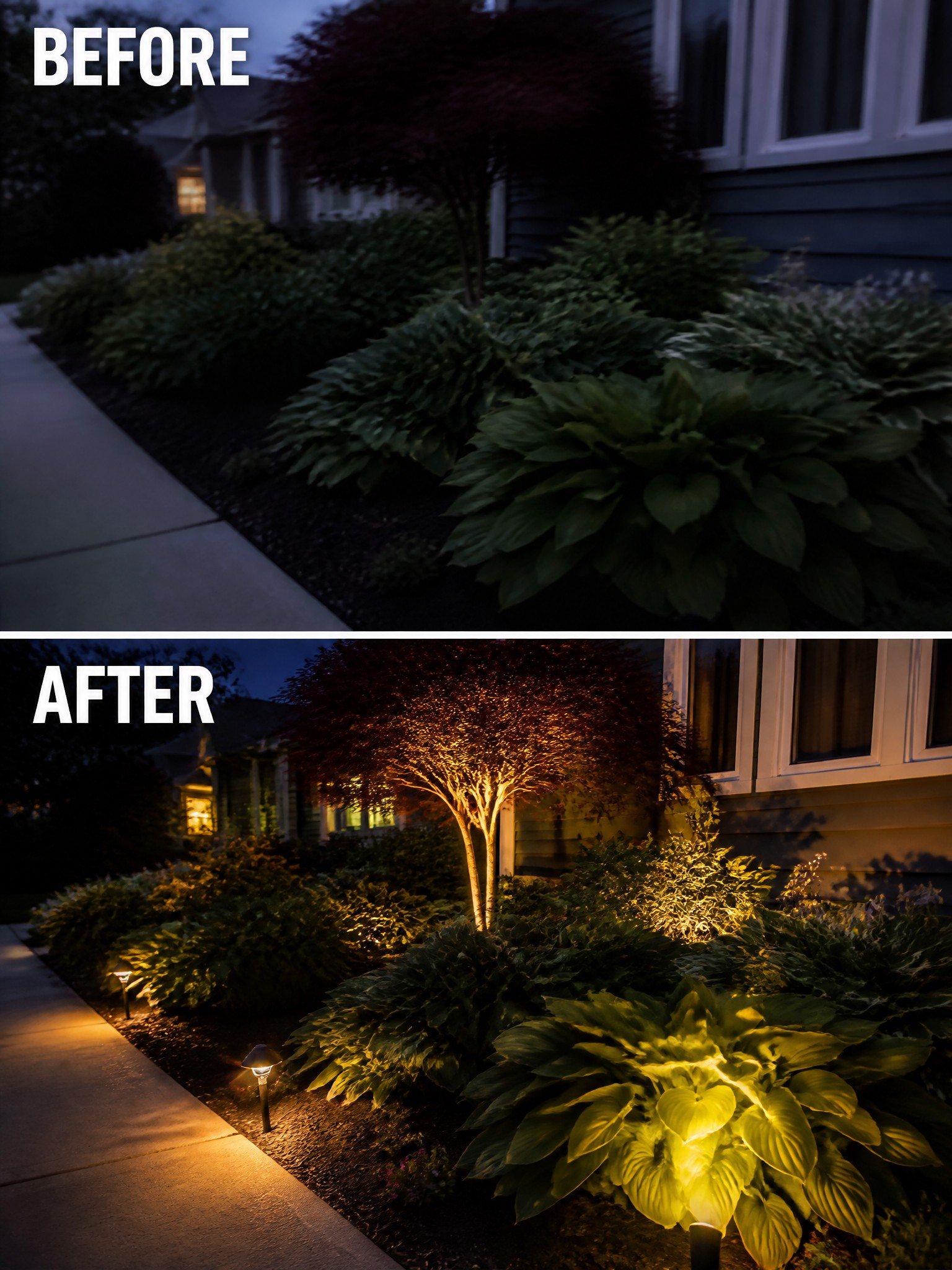 Before and after of house garden at night with added tree and path lights.