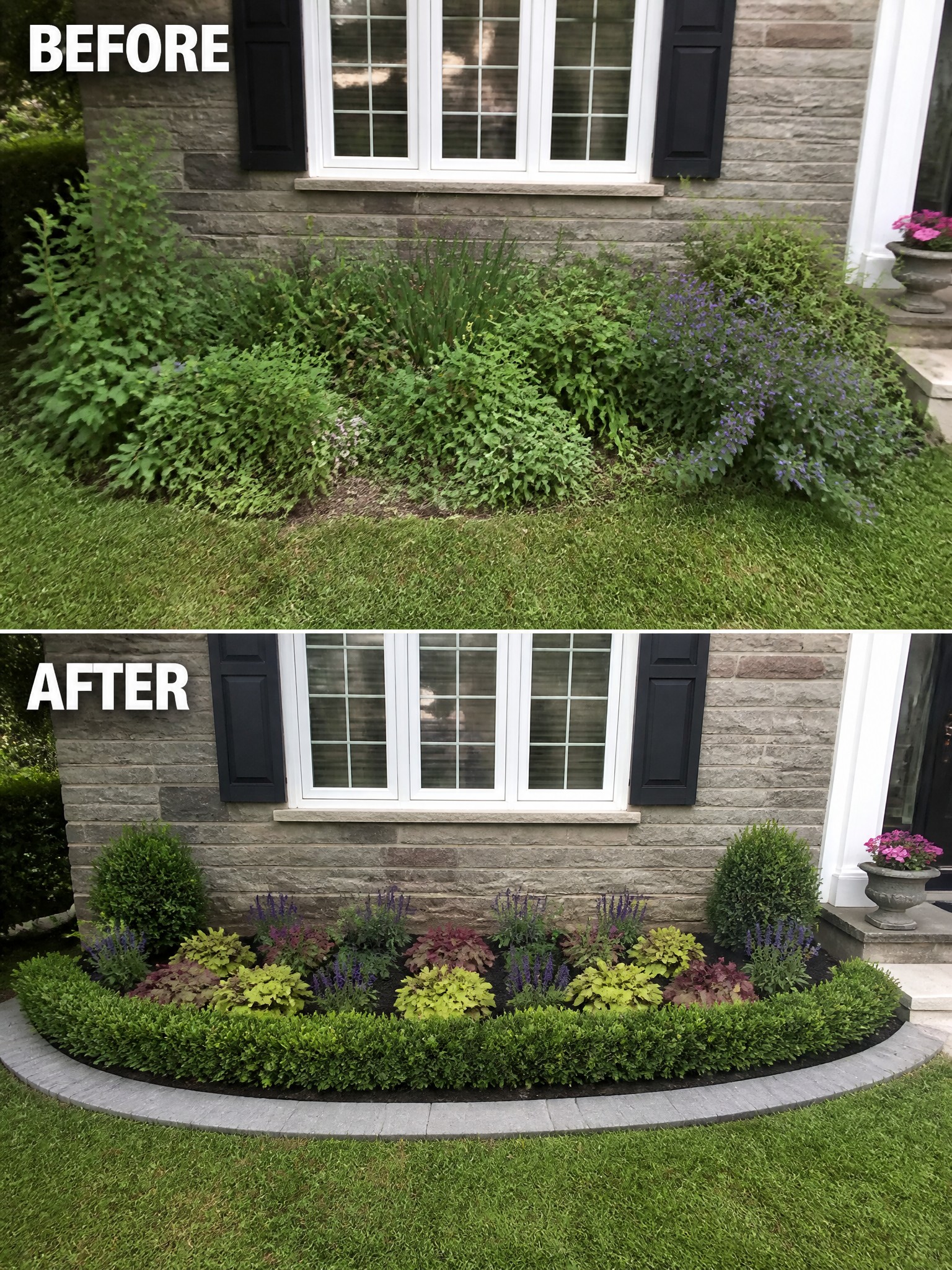 Before and after of overgrown garden bed transformed into neat colorful border under window.