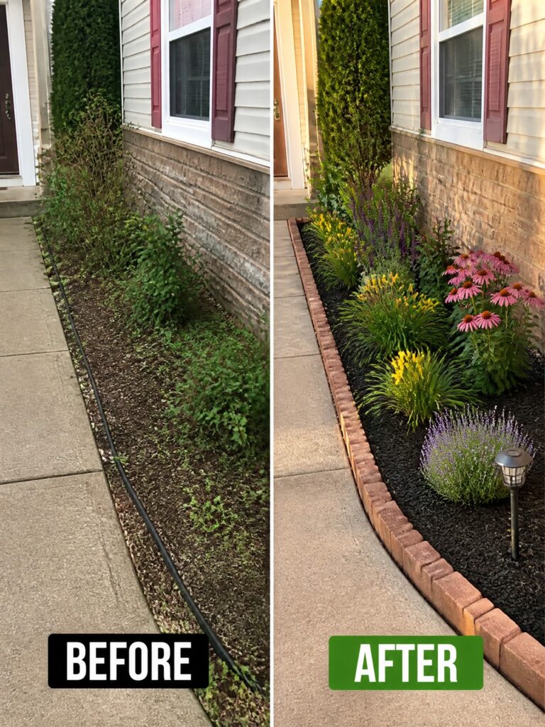 Before-and-after image of a weedy foundation bed changed into a defined garden border with brick edging, dark mulch, and layered flowers and shrubs.