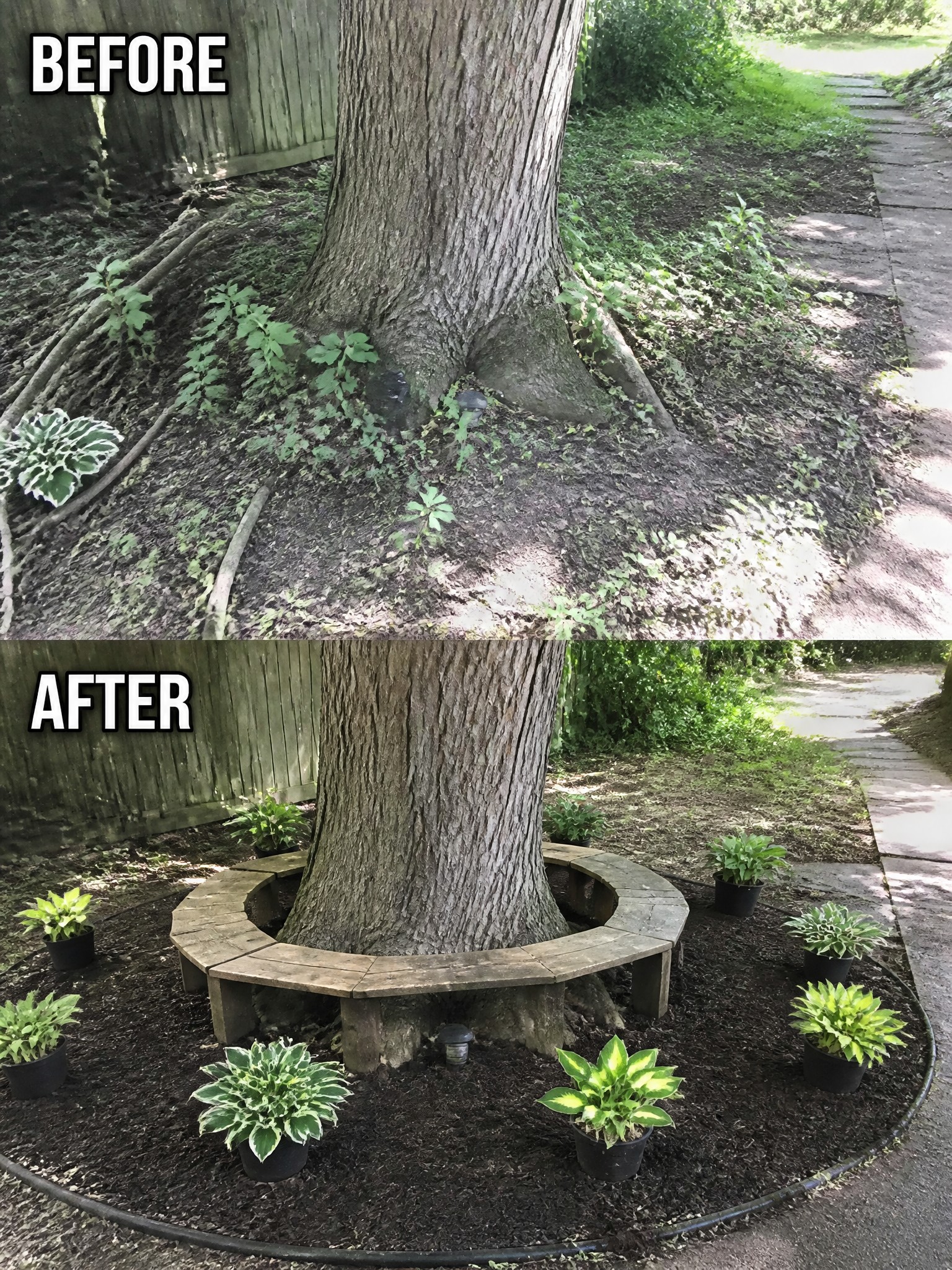 Before-and-after view of tree with new circular bench and potted plants around base.