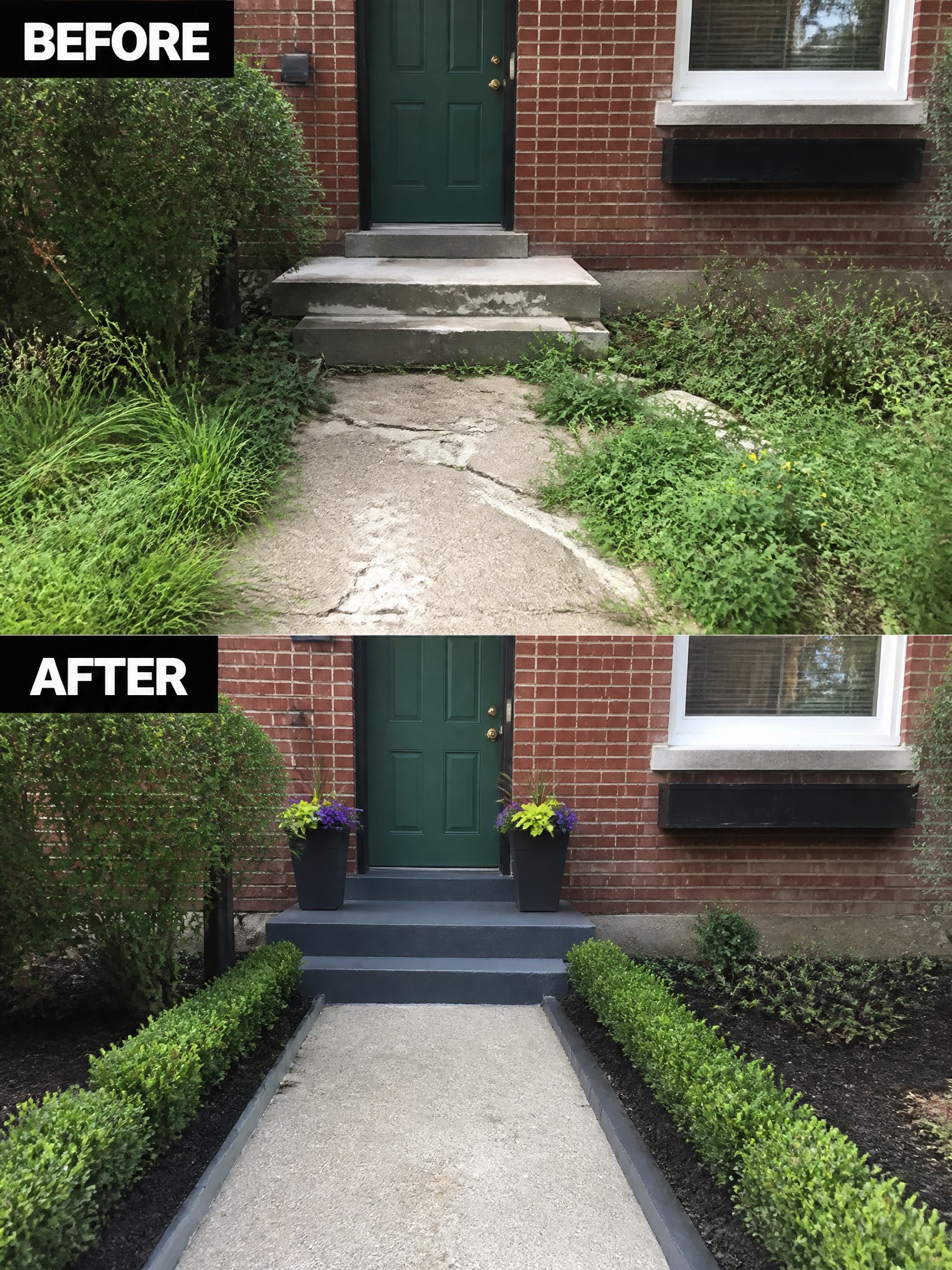 Before-and-after image of an overgrown front entry with a cracked concrete path changed into a clean walkway lined with boxwood borders, mulch, and potted plants.
