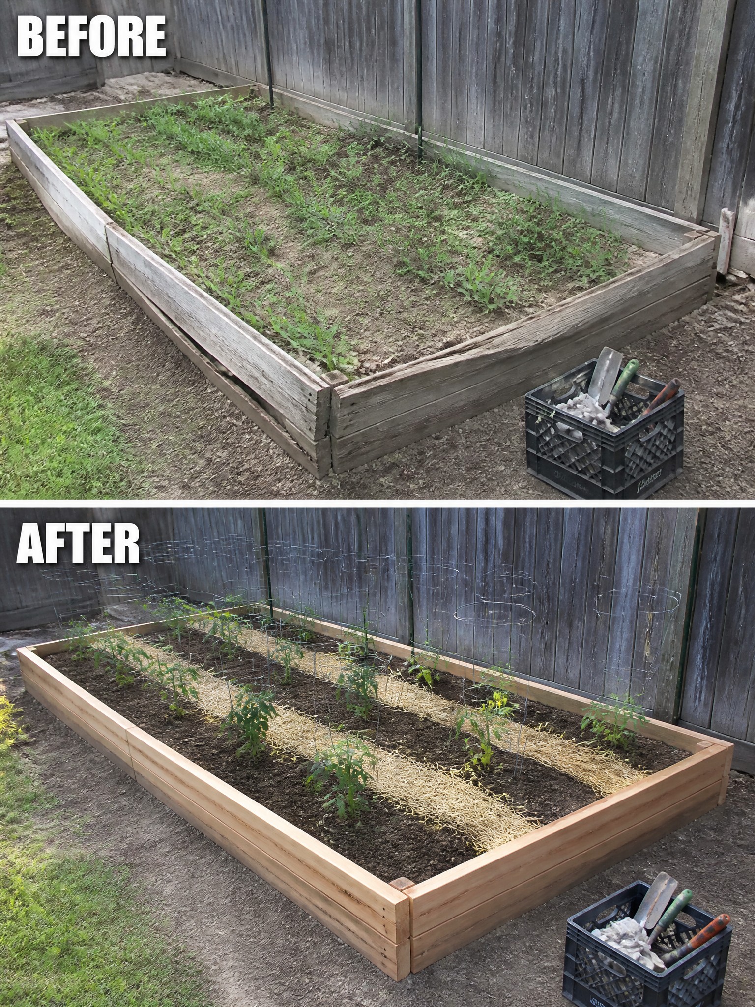 Before-and-after image of an overgrown raised garden bed changed into organized rows with plant supports and mulch.