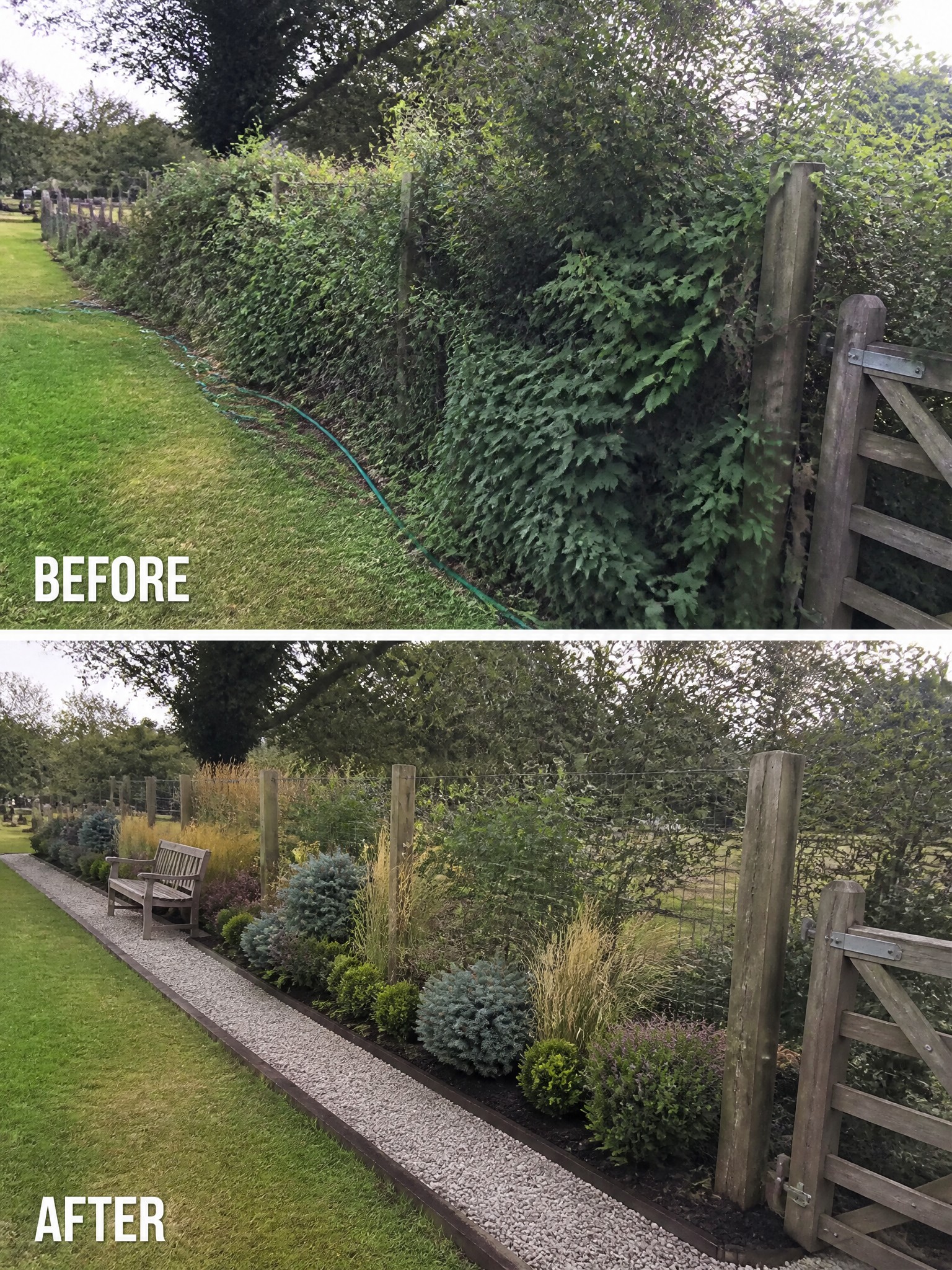 Before-and-after image of an overgrown garden border changed into structured planting beds with gravel edging, a bench, and mixed shrubs.