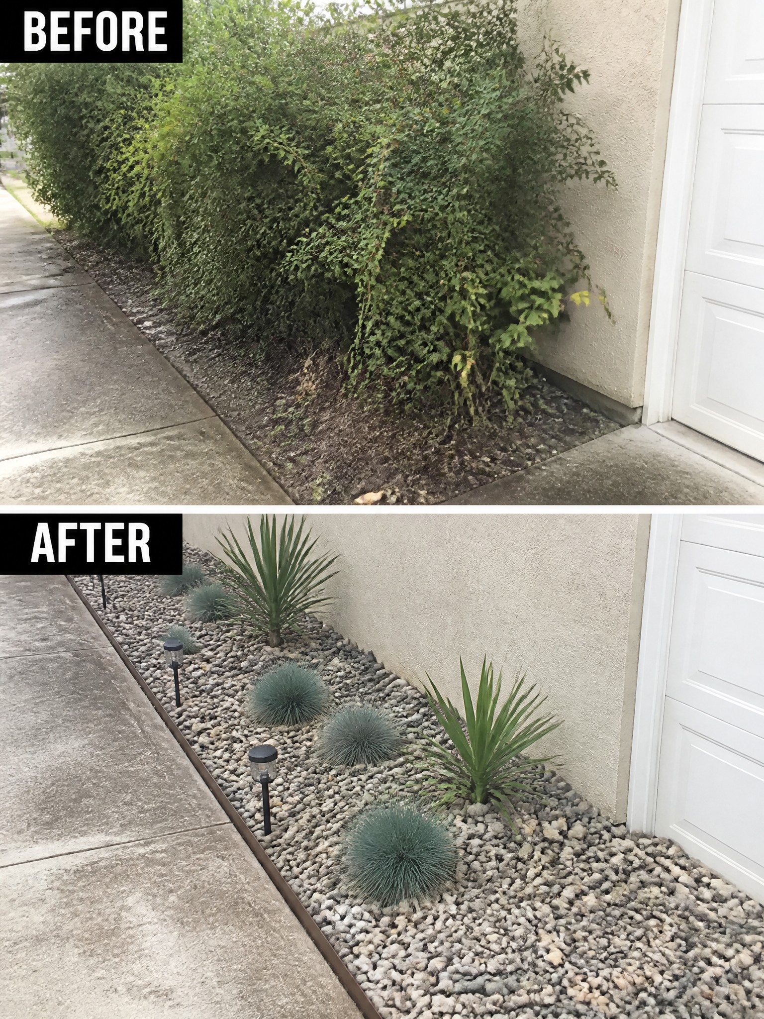 Before-and-after garden bed: overgrown bushes replaced by gravel, yuccas and lights.