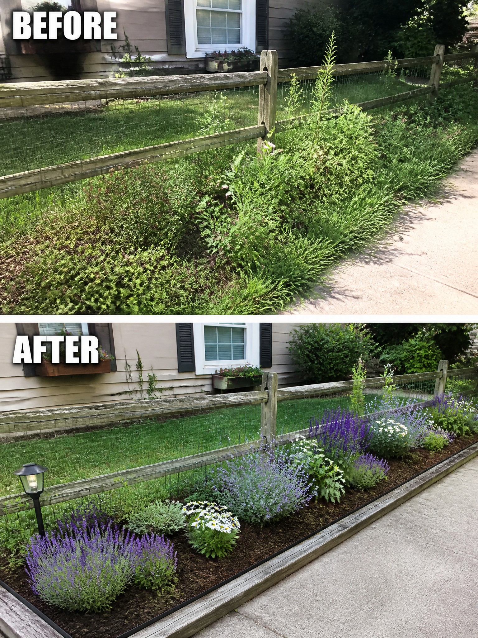 Before and after of overgrown weeds transformed into colorful flower garden along fence.