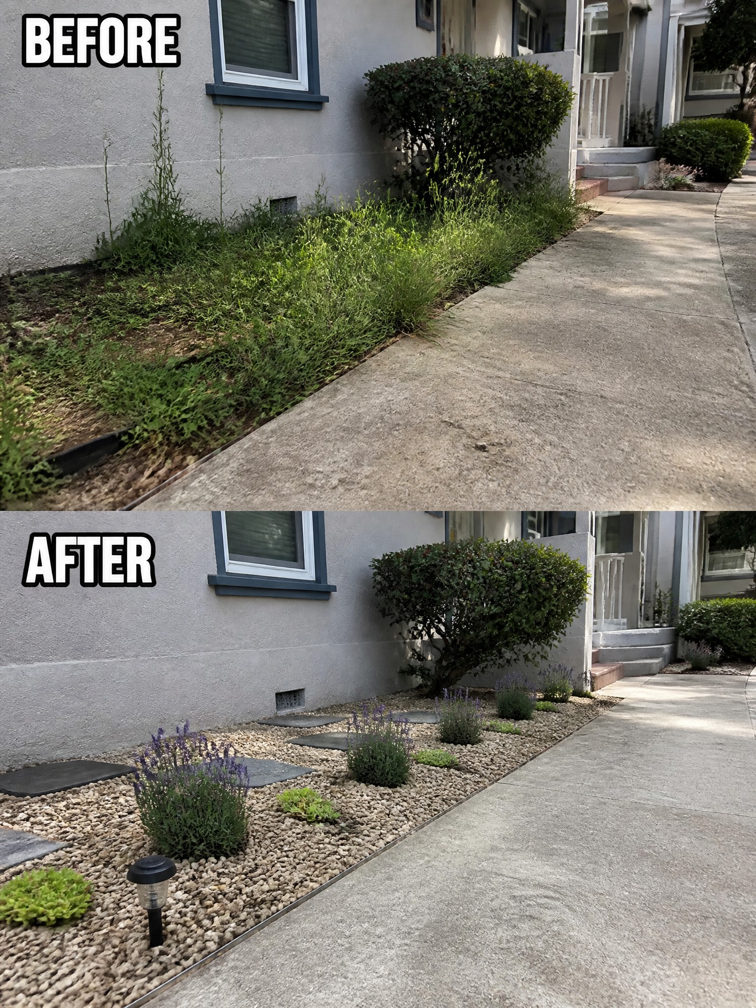Before-and-after view of weedy strip transformed into gravel garden with lavender and stones.