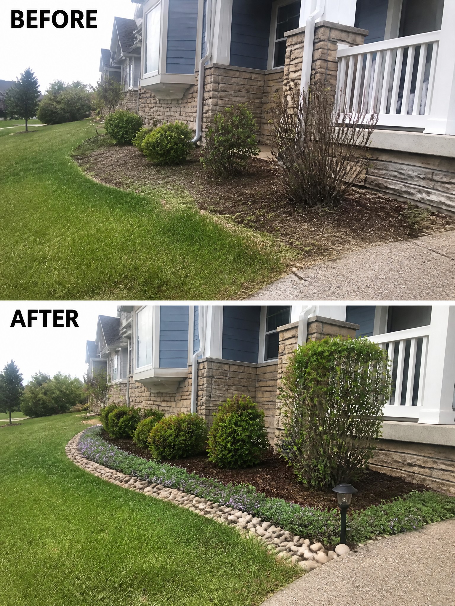 Before and after of house foundation landscaping with stone edging and added plants.