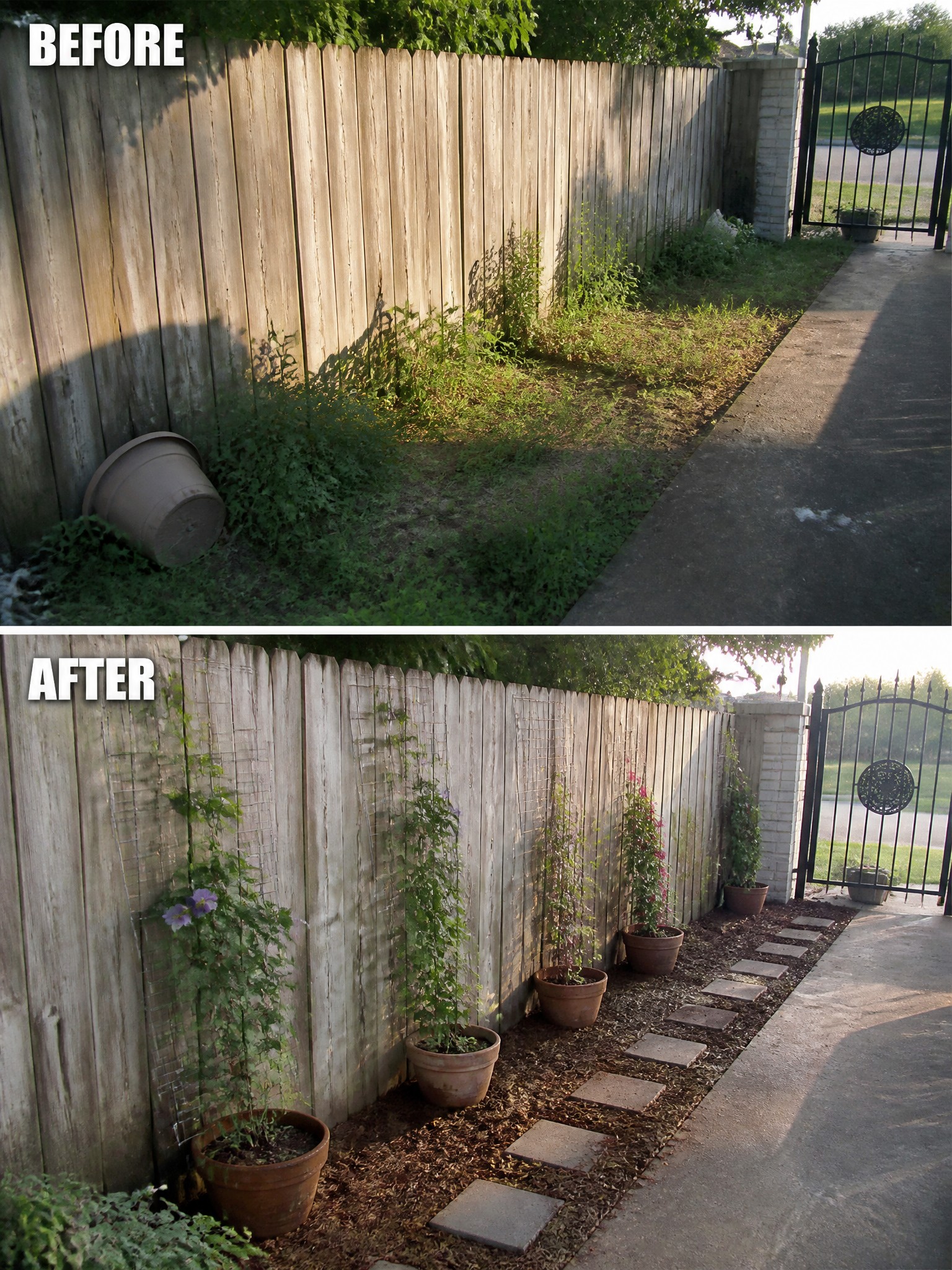 Before and after of overgrown fence line transformed with potted plants, trellises and stepping stones.