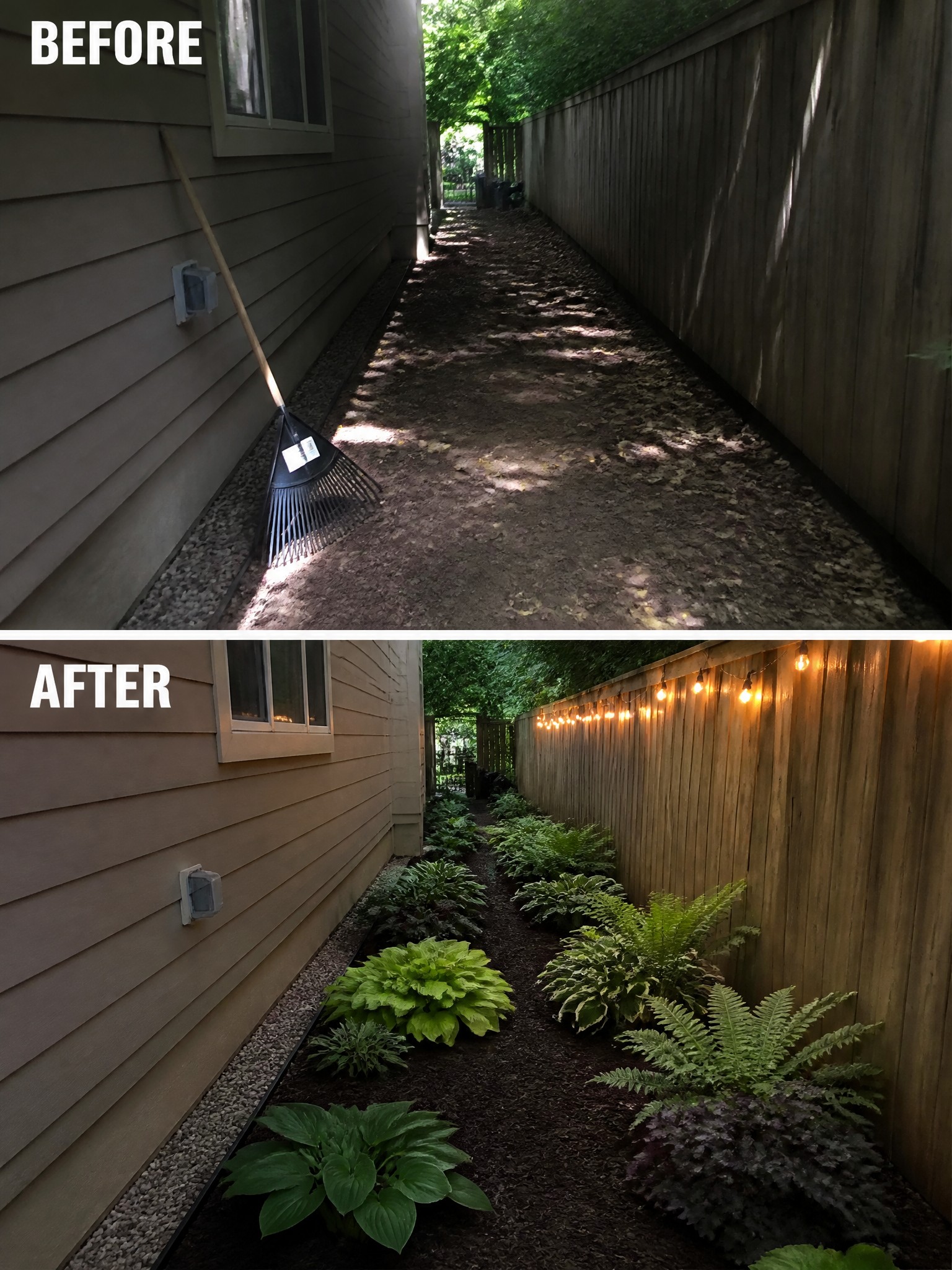 Before-and-after image of a narrow side yard changed from bare dirt and fallen leaves into planted garden beds with ferns, hostas, mulch, and string lights along the fence.