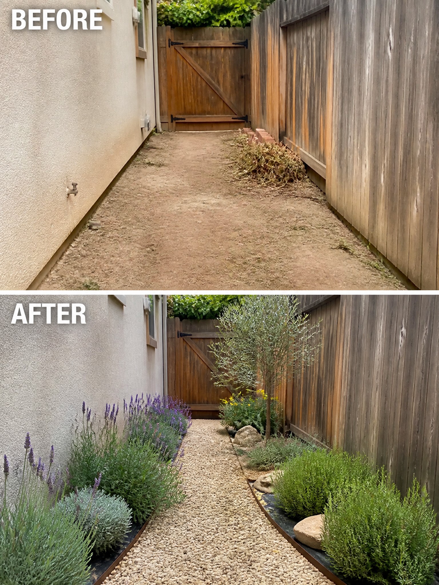 Before-and-after photos of narrow path transformed from dirt to gravel with plants.