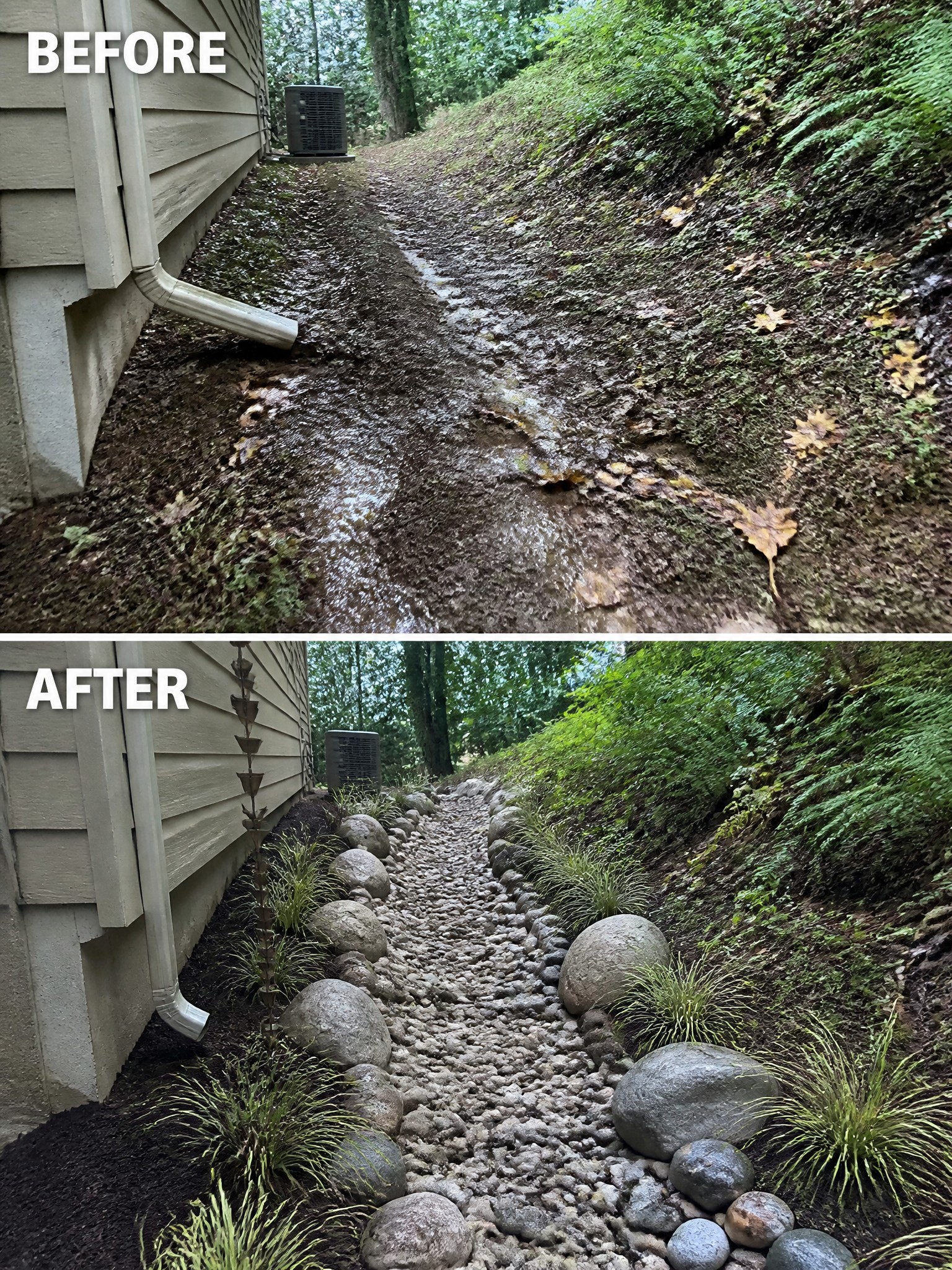 Before and after of muddy drainage path transformed into rock-lined gravel channel with plants.